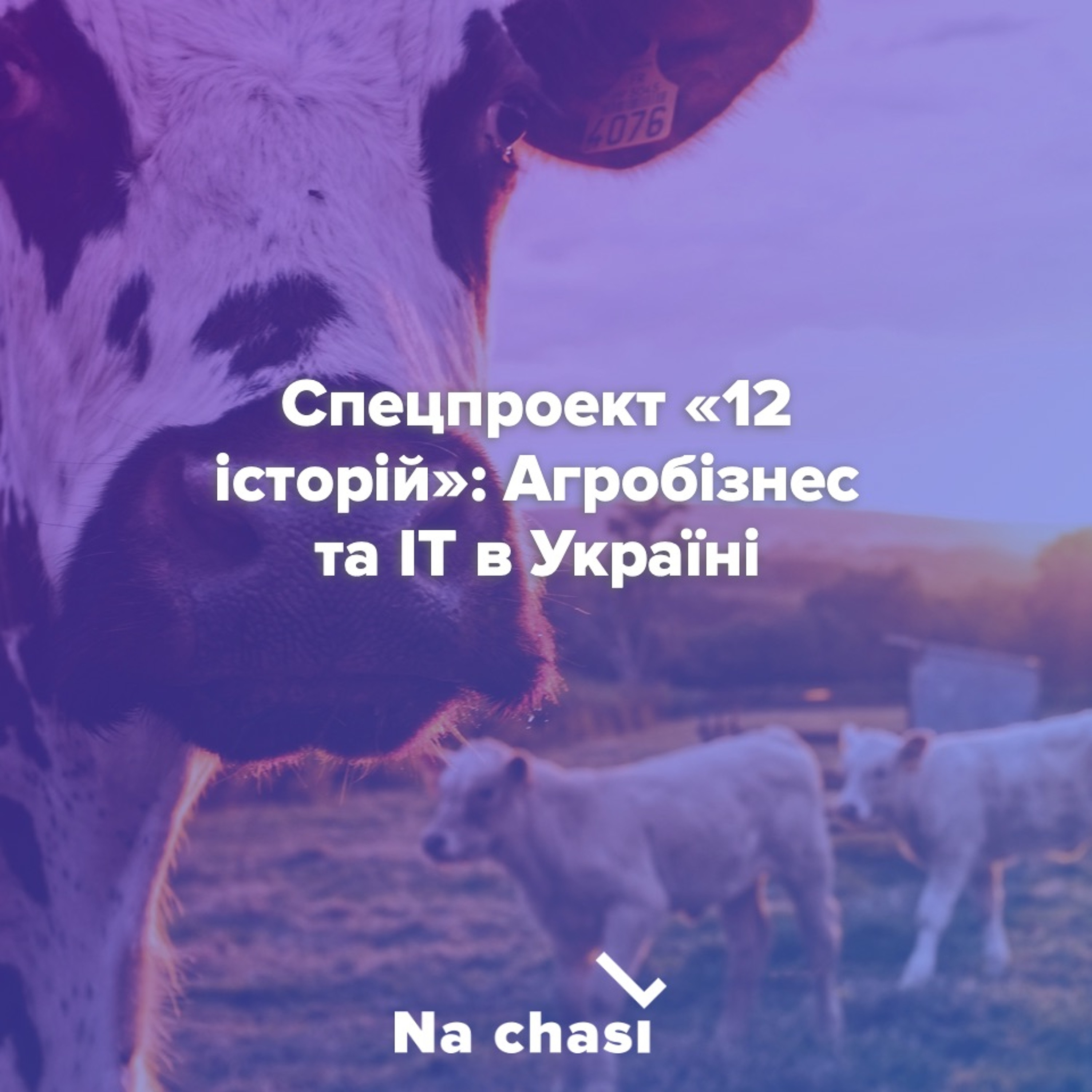 CHTNKA | «Читанка»