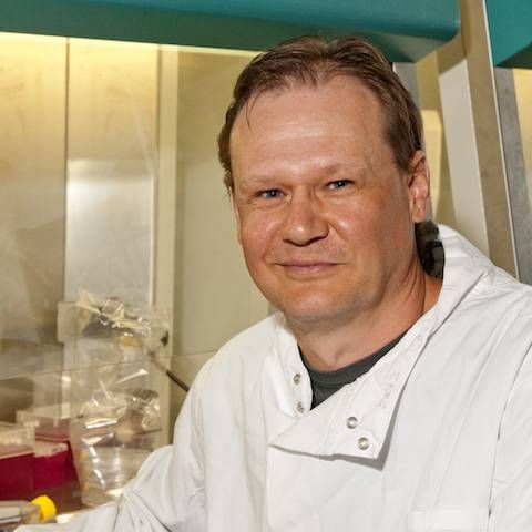 How HIV Survives The Minefield - Prof Greg Towers
