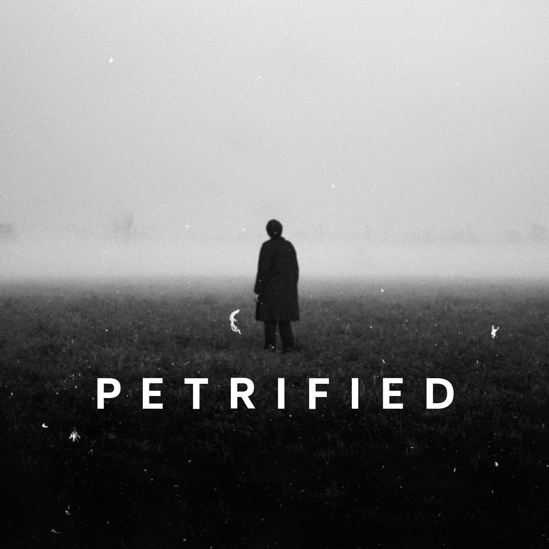 Petrified Teaser