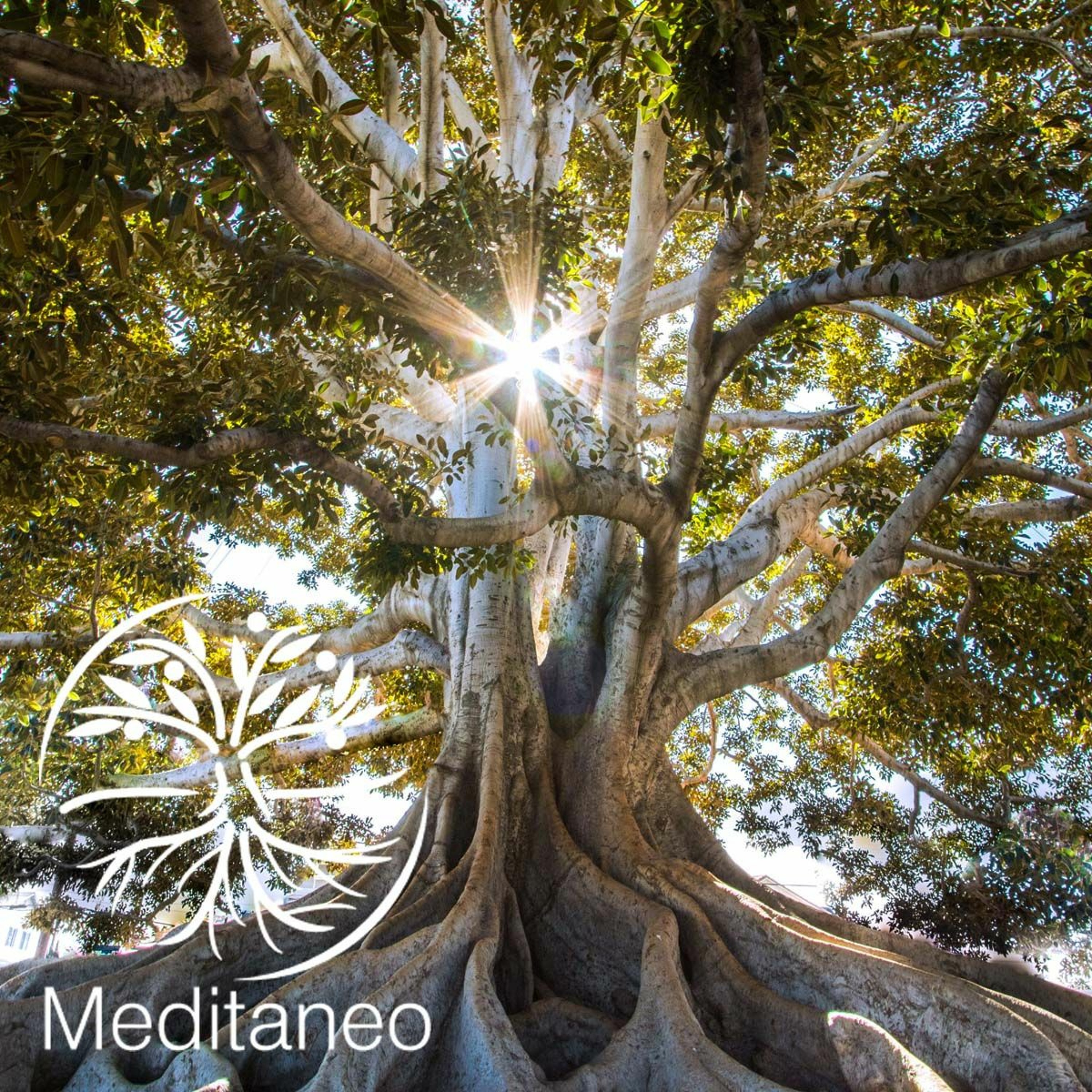 Podcast meditaneo