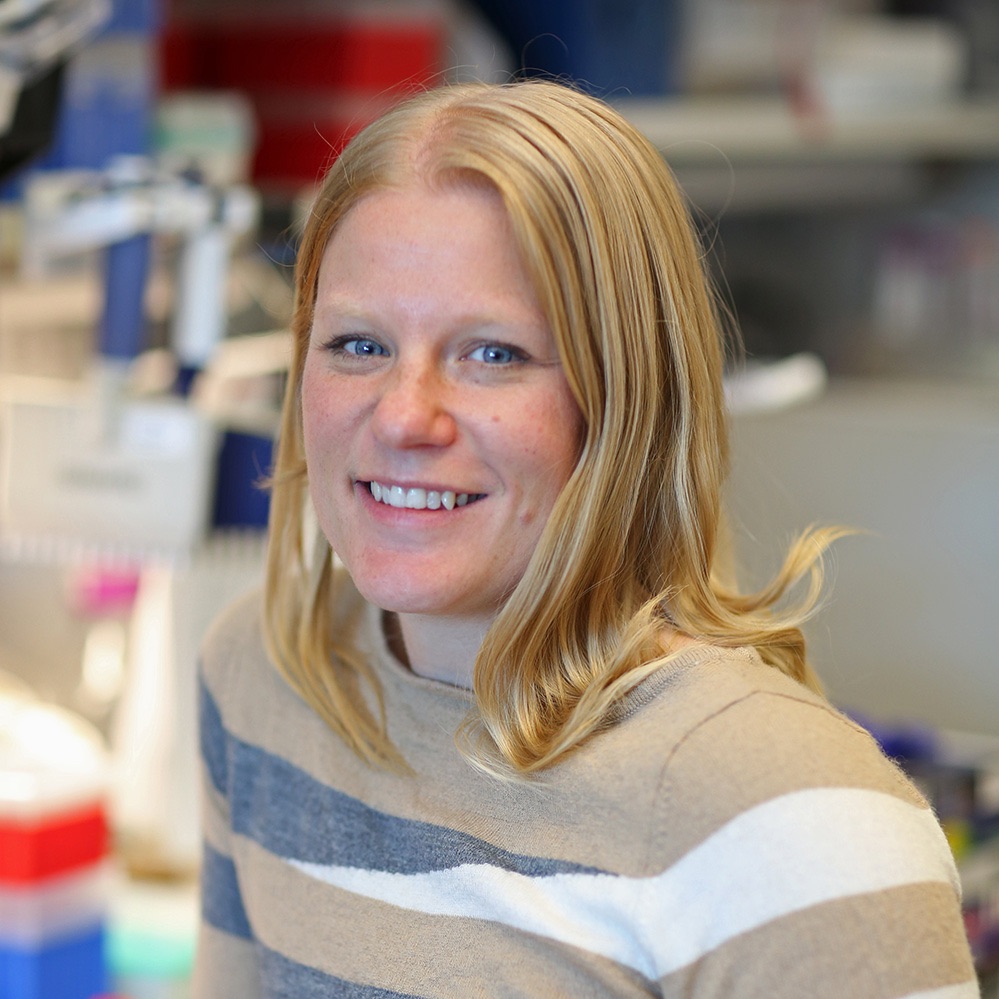 Episode 11: Outside Influence: Stimuli, Epigenomics, and Changing Cell Behavior