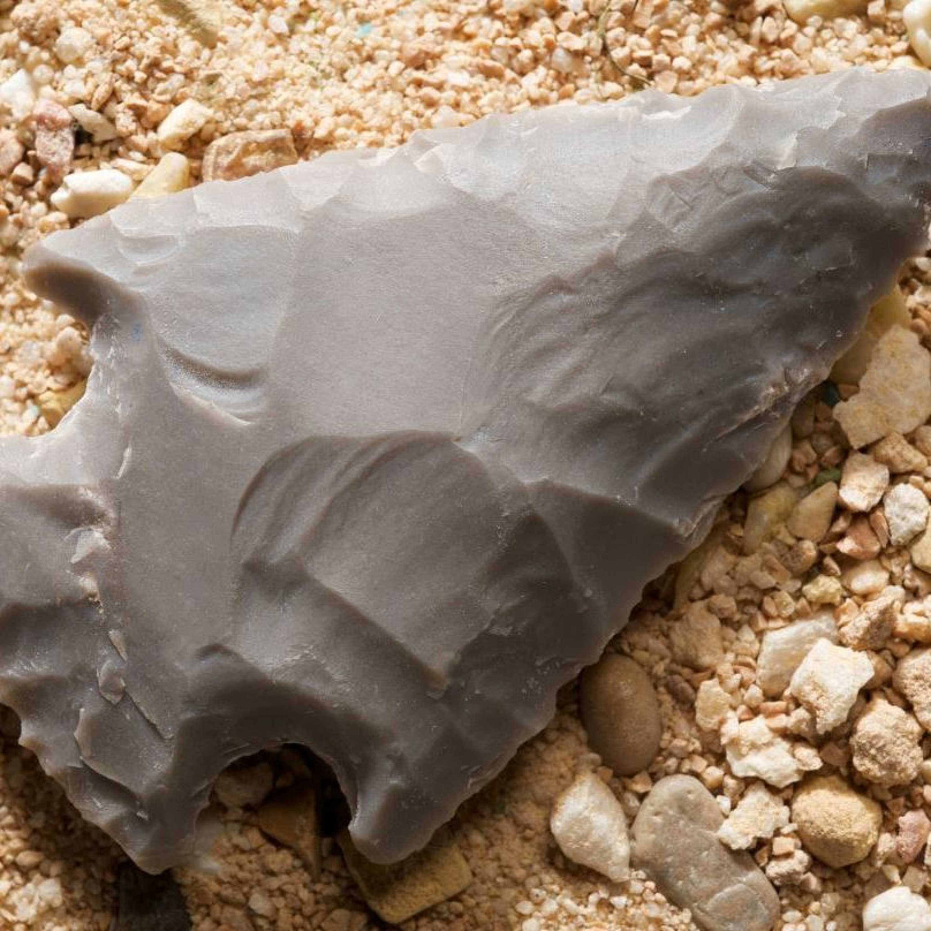 Archeologists dig up 11,000 artifacts. Now what?