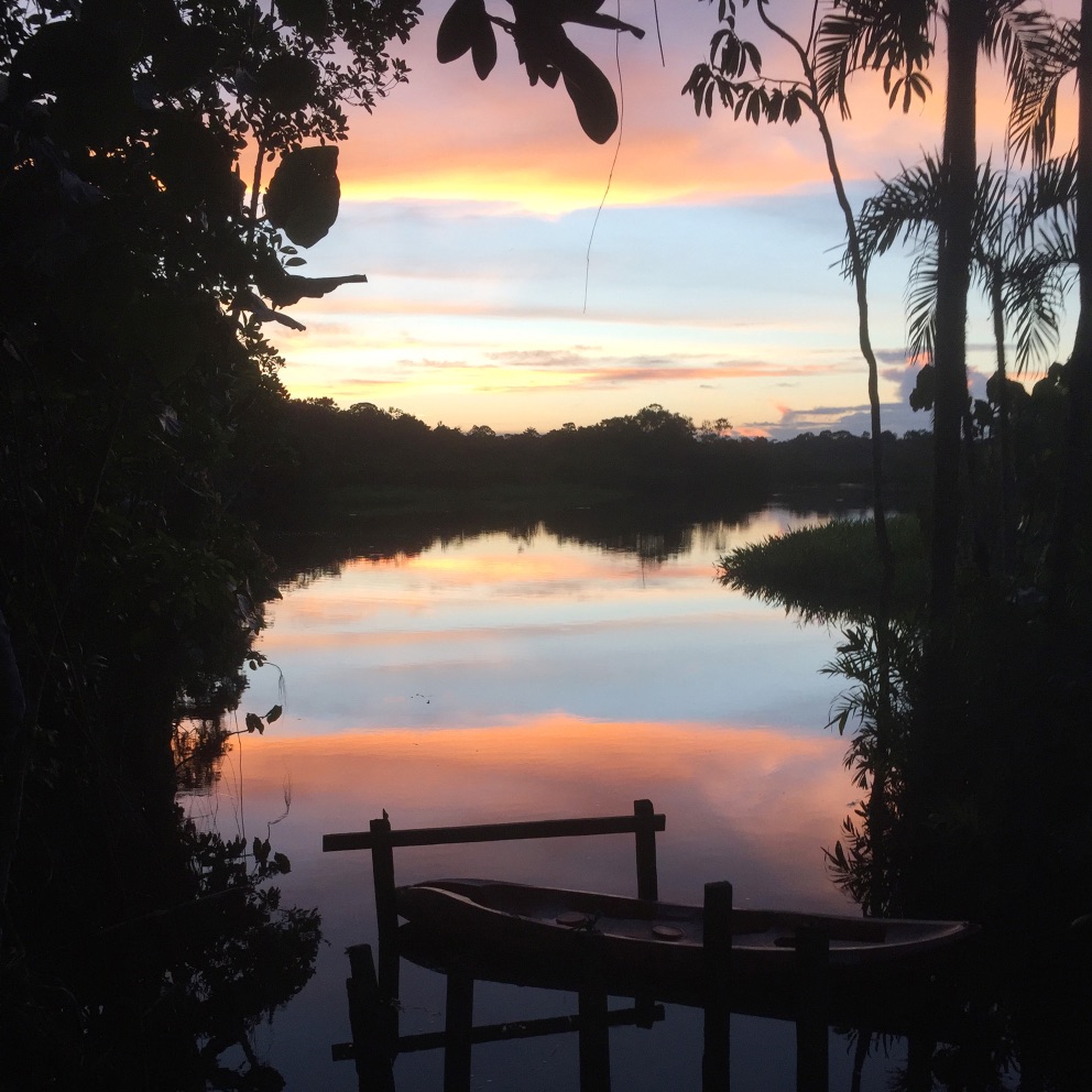 Yasuni Soundscapes - A Binaural Podcast by Lang Elliott