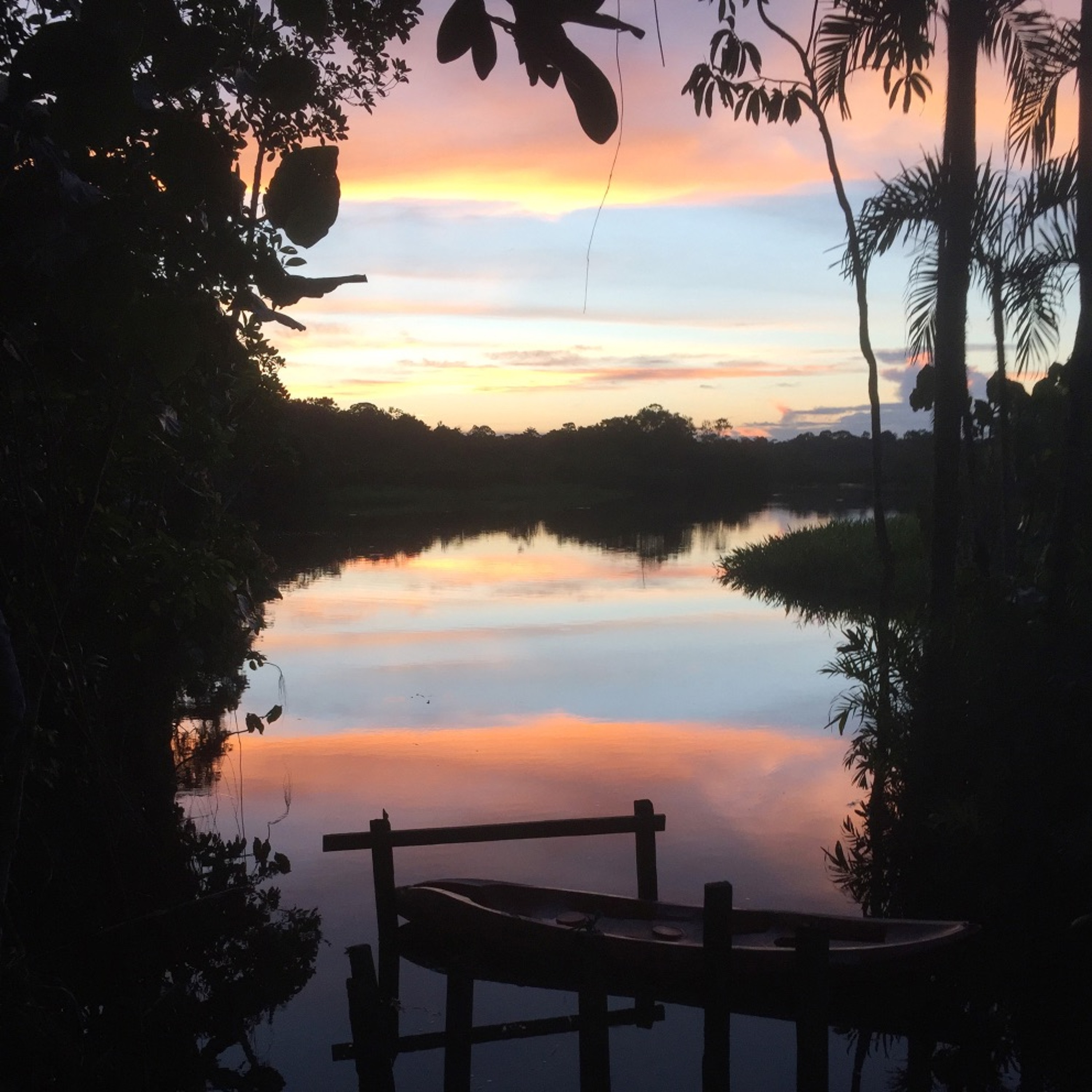 Music of Nature Podcast