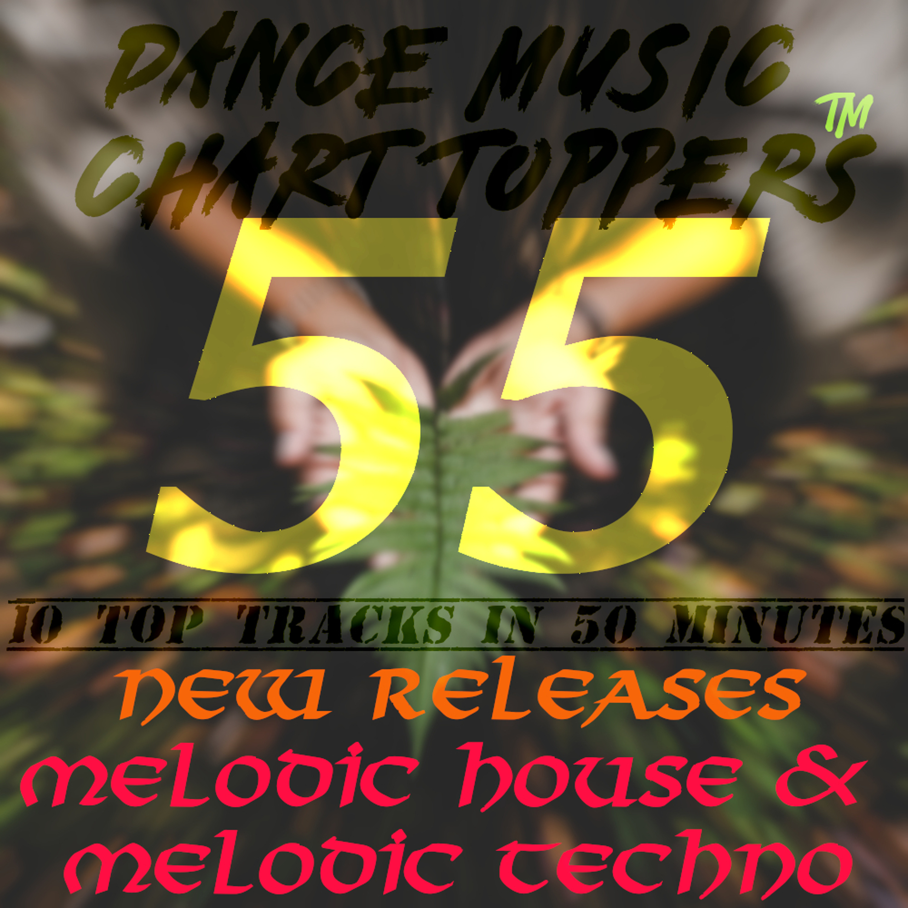 Dance Music Chart Toppers™ 10 Tracks in 50 Minutes