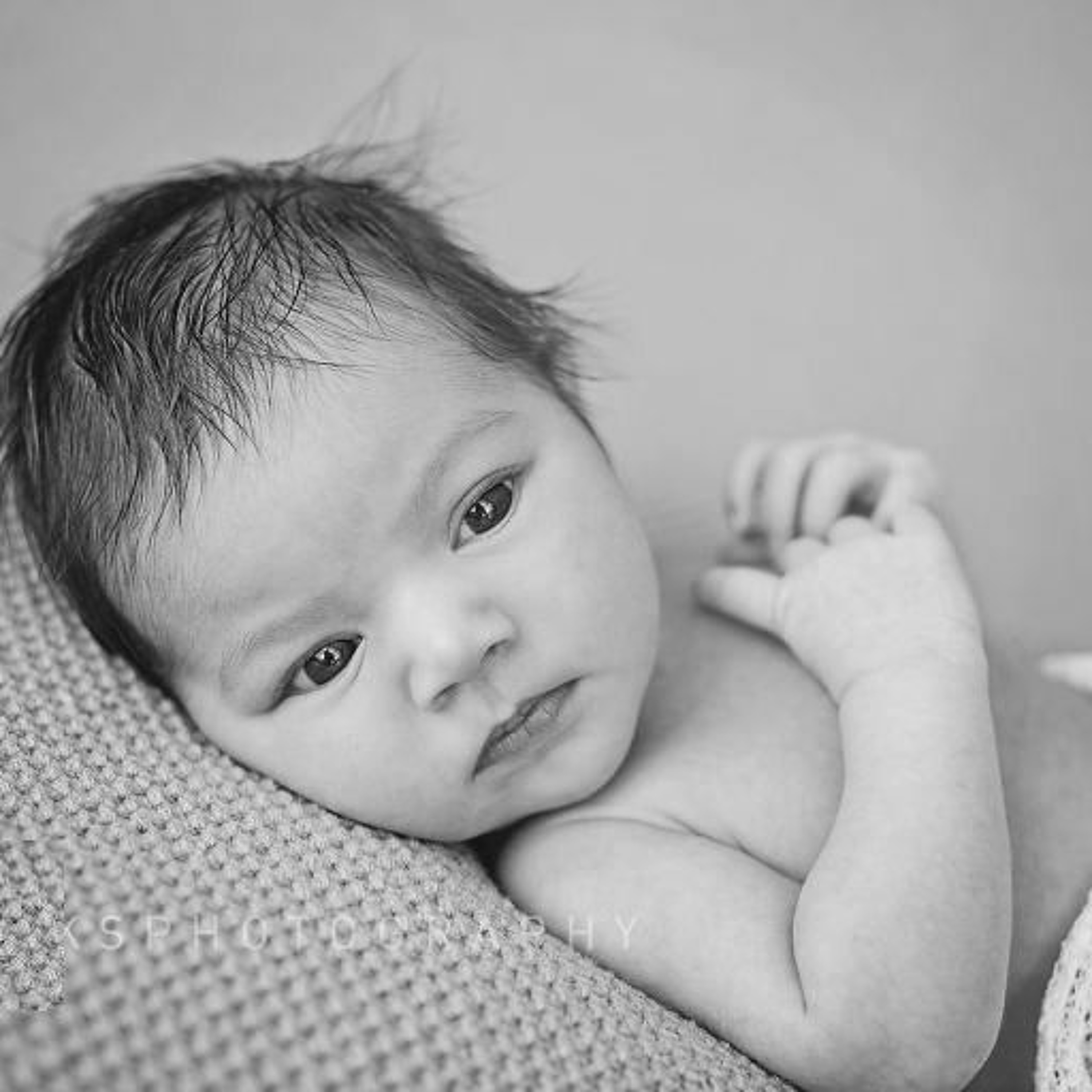 UITGELEZEN: ZKV (zeer korte verhalen)