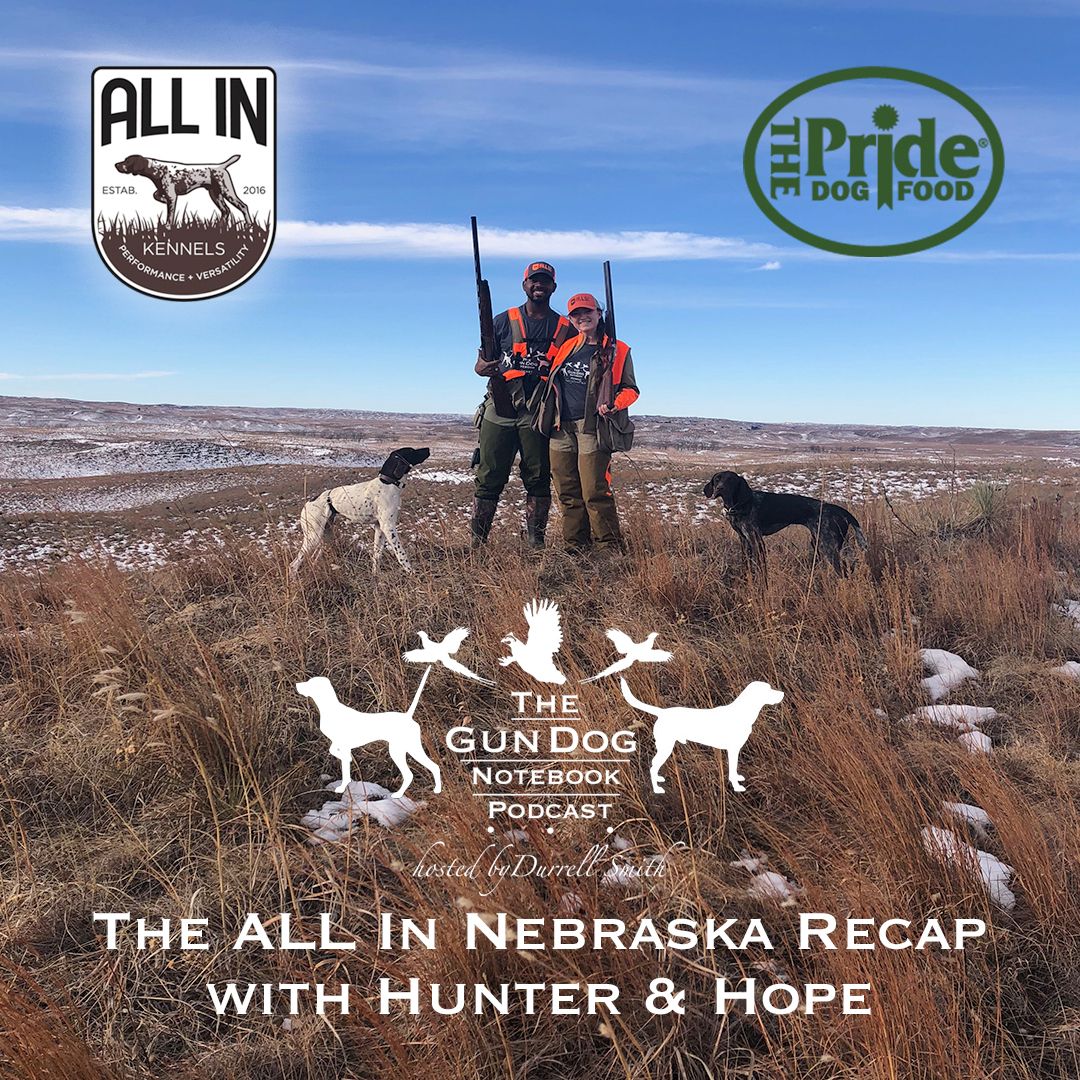 The Gun Dog Notebook • A podcast on Spotify for Podcasters