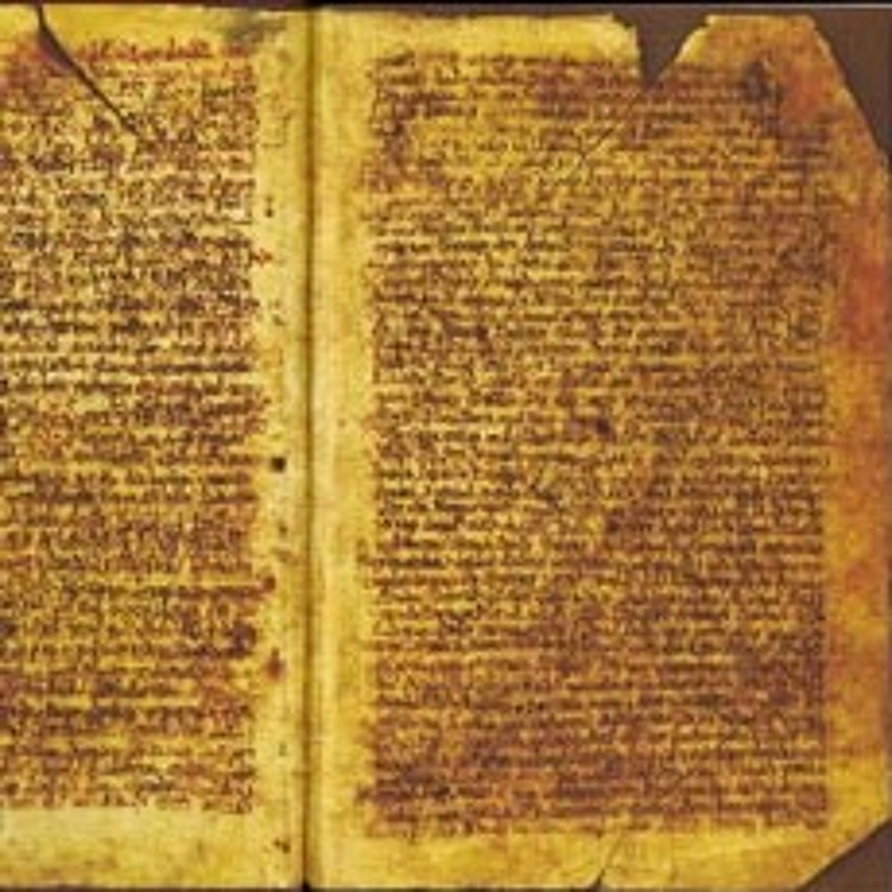 The Revelation of the Magi