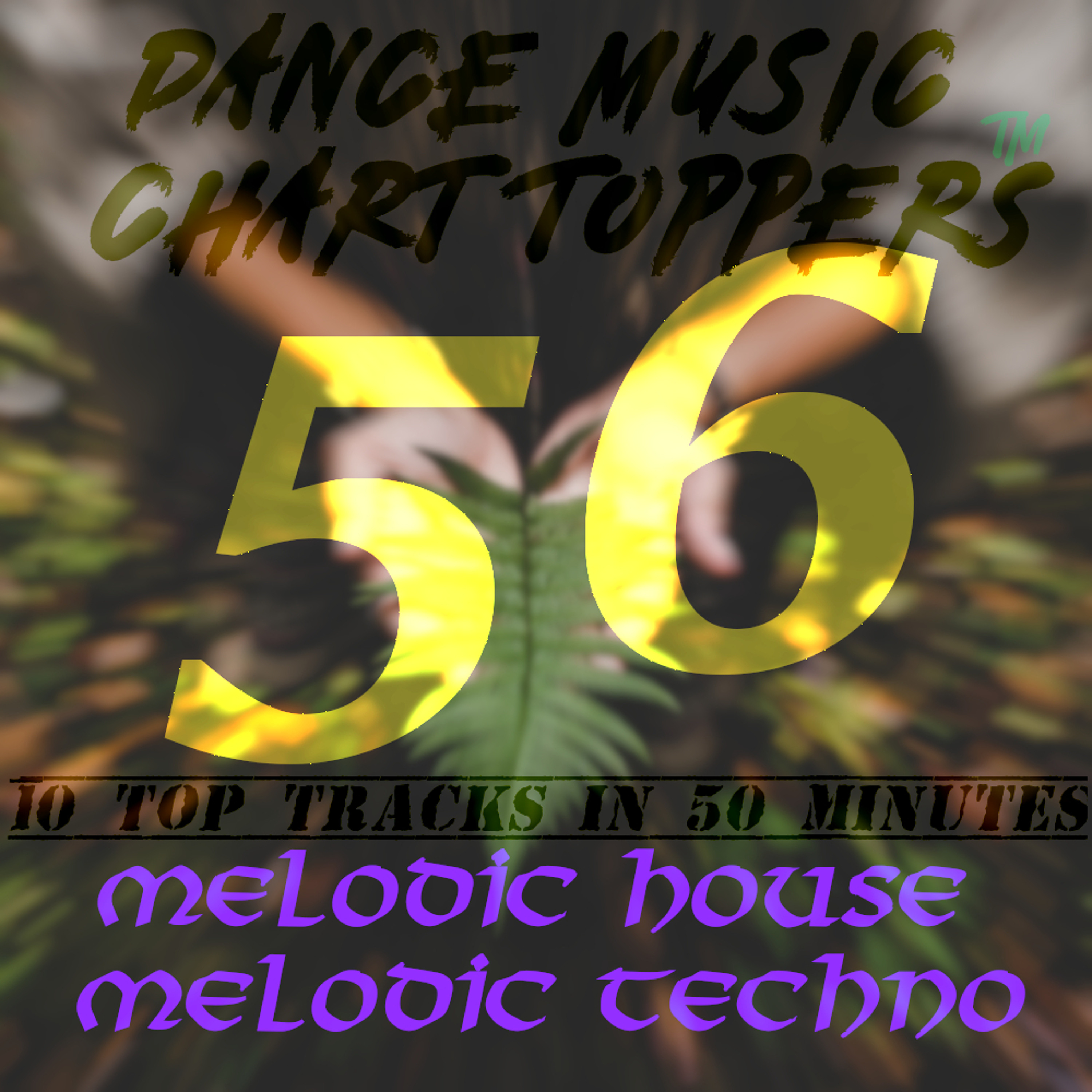 Dance Music Chart Toppers™ 10 Tracks in 50 Minutes