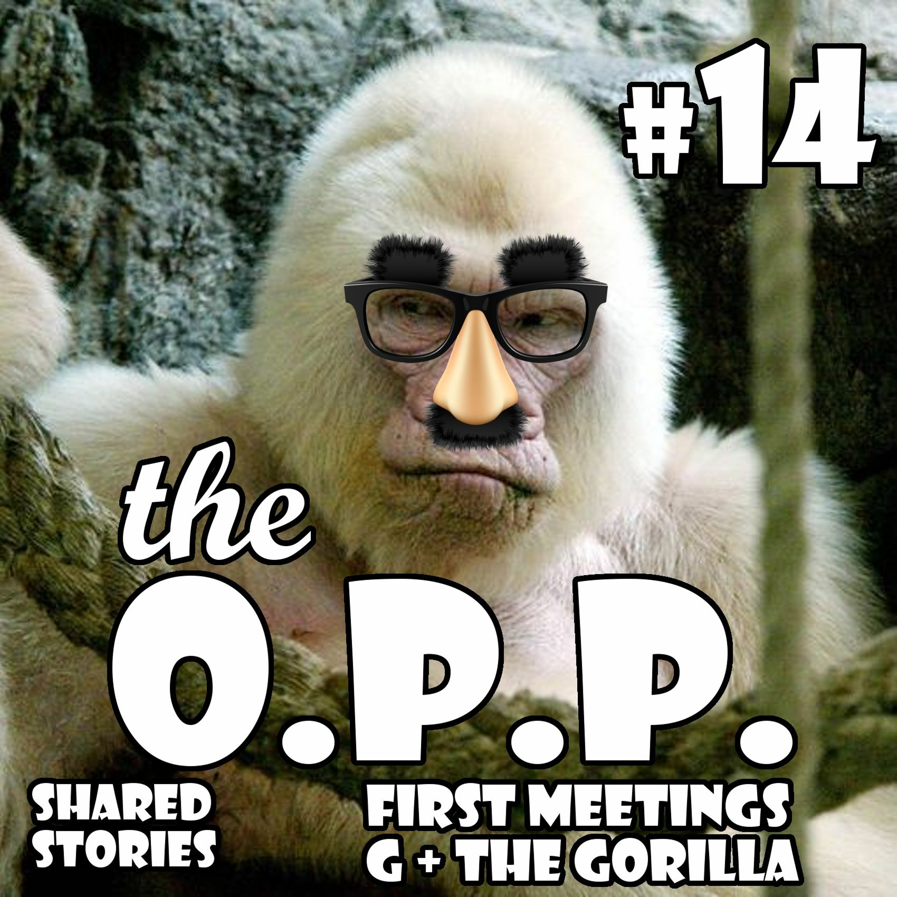 THE O.P.P.