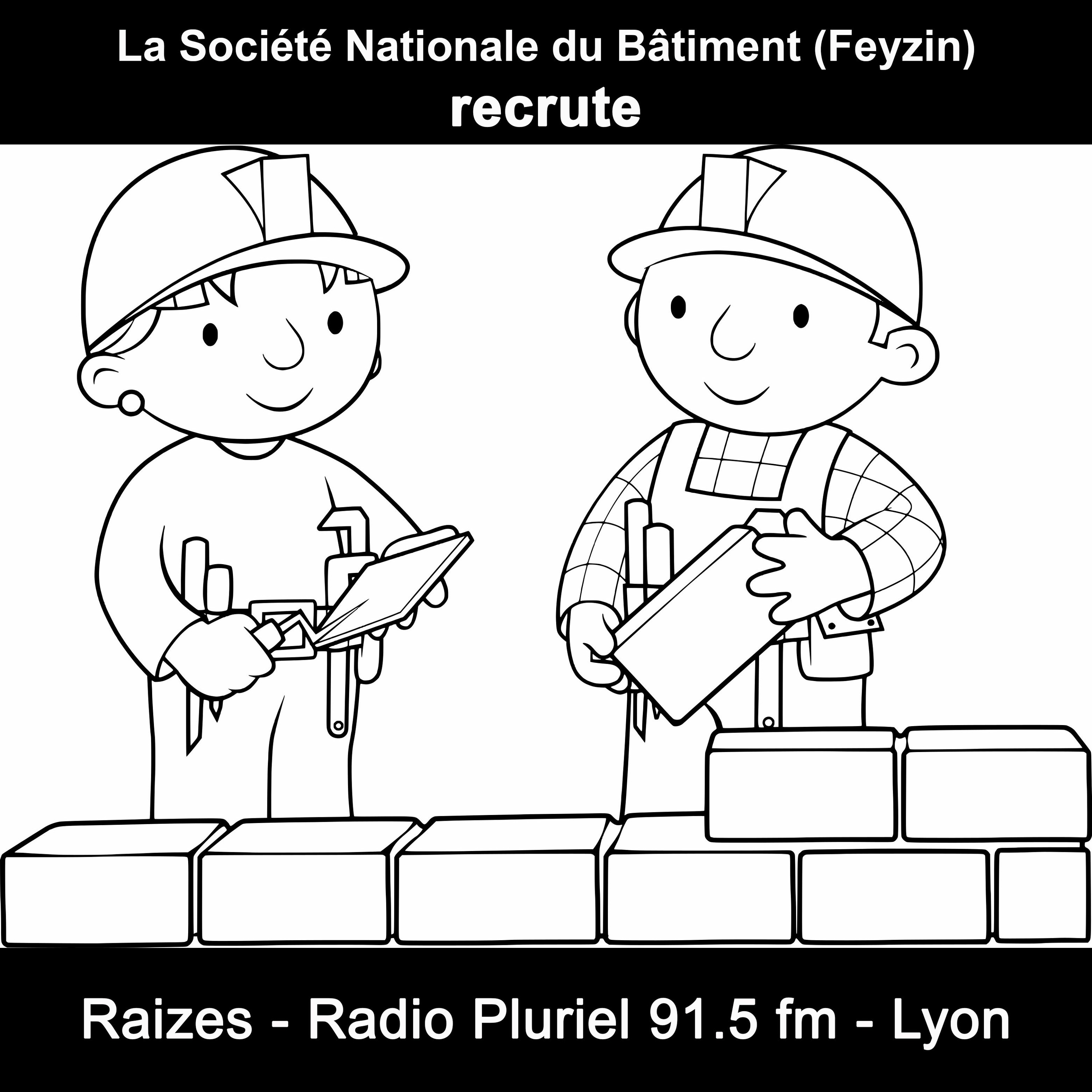 Offre D'emploi - Société Nationale Du Bâtiment (Feyzin)