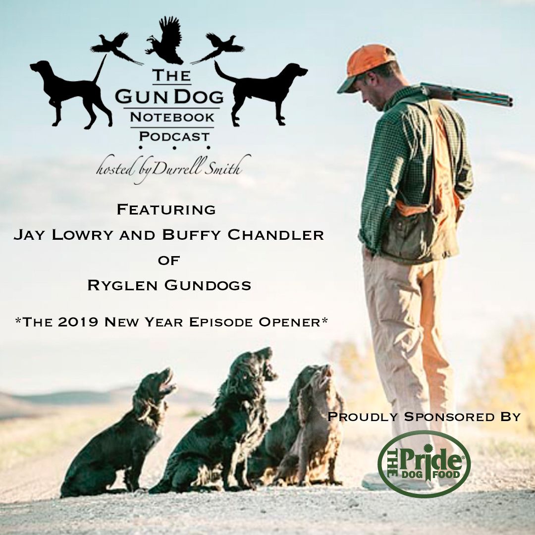 The Gun Dog Notebook • A podcast on Spotify for Podcasters