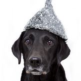 Conspiracies - Het Koningshuis is niet legitiem