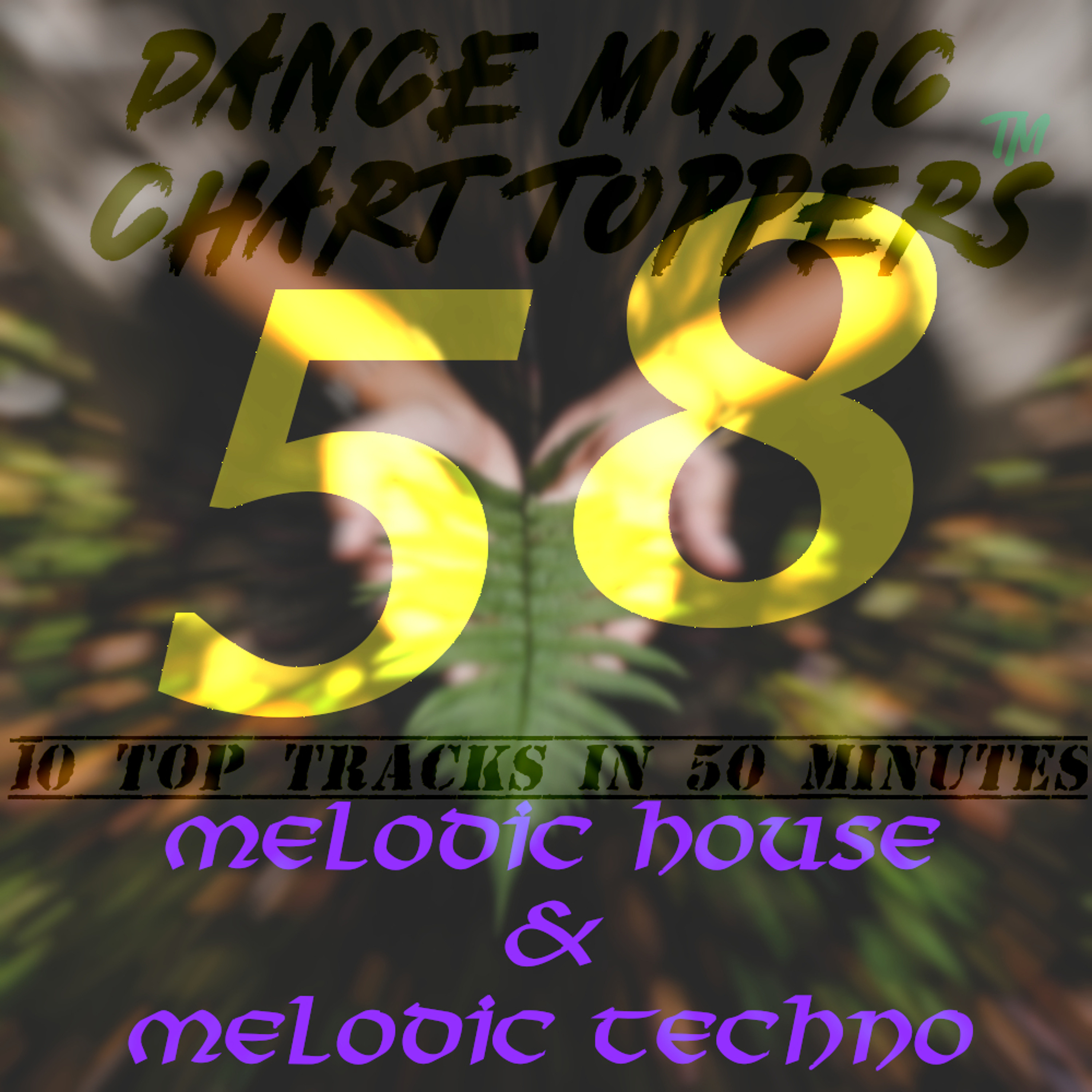 Dance Music Chart Toppers™ 10 Tracks in 50 Minutes