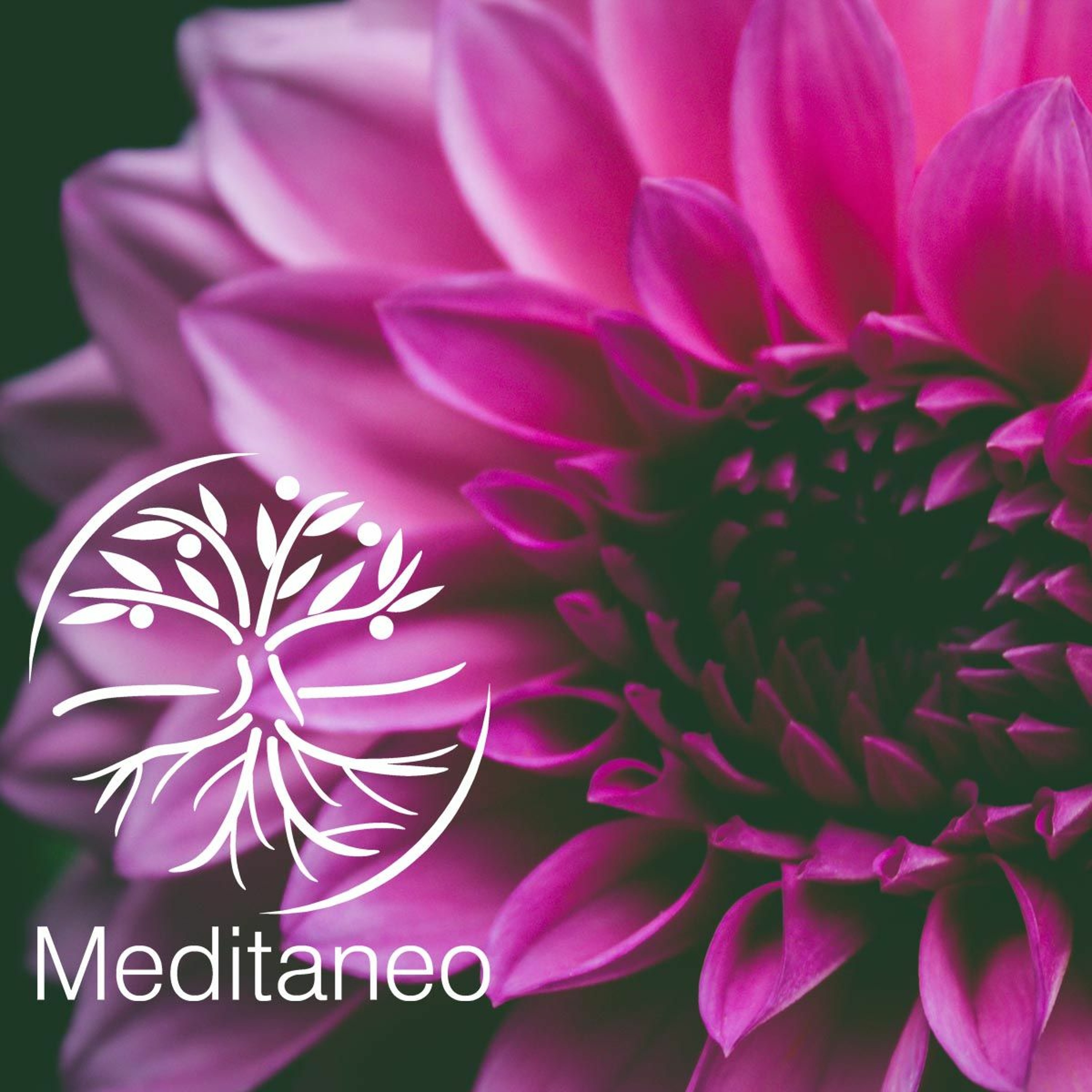 Podcast meditaneo