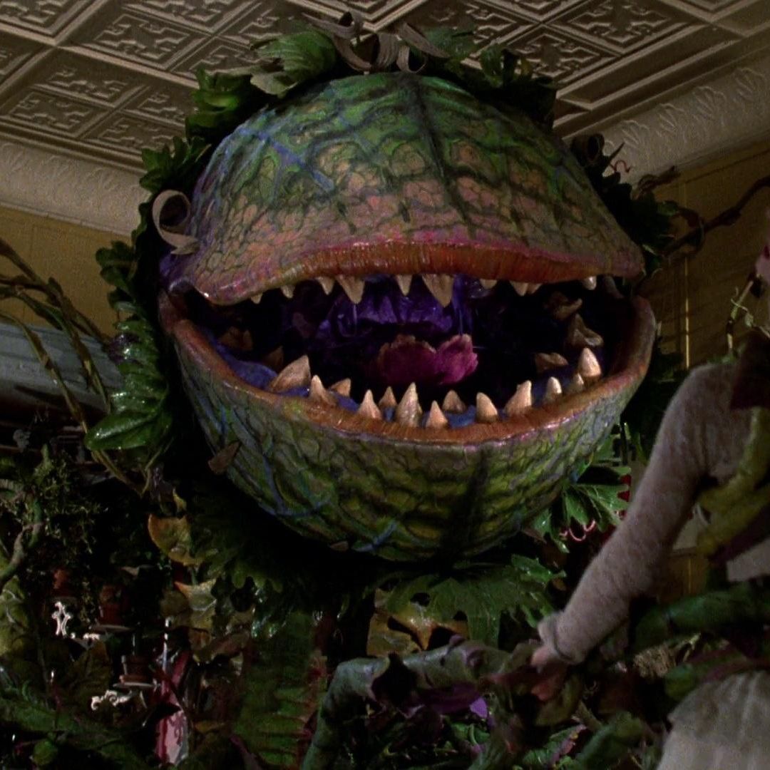 Podquisition 214: Little Shop Of Horrors Without The Plant Podquisition 214: Little Shop Of Horrors Without The Plant