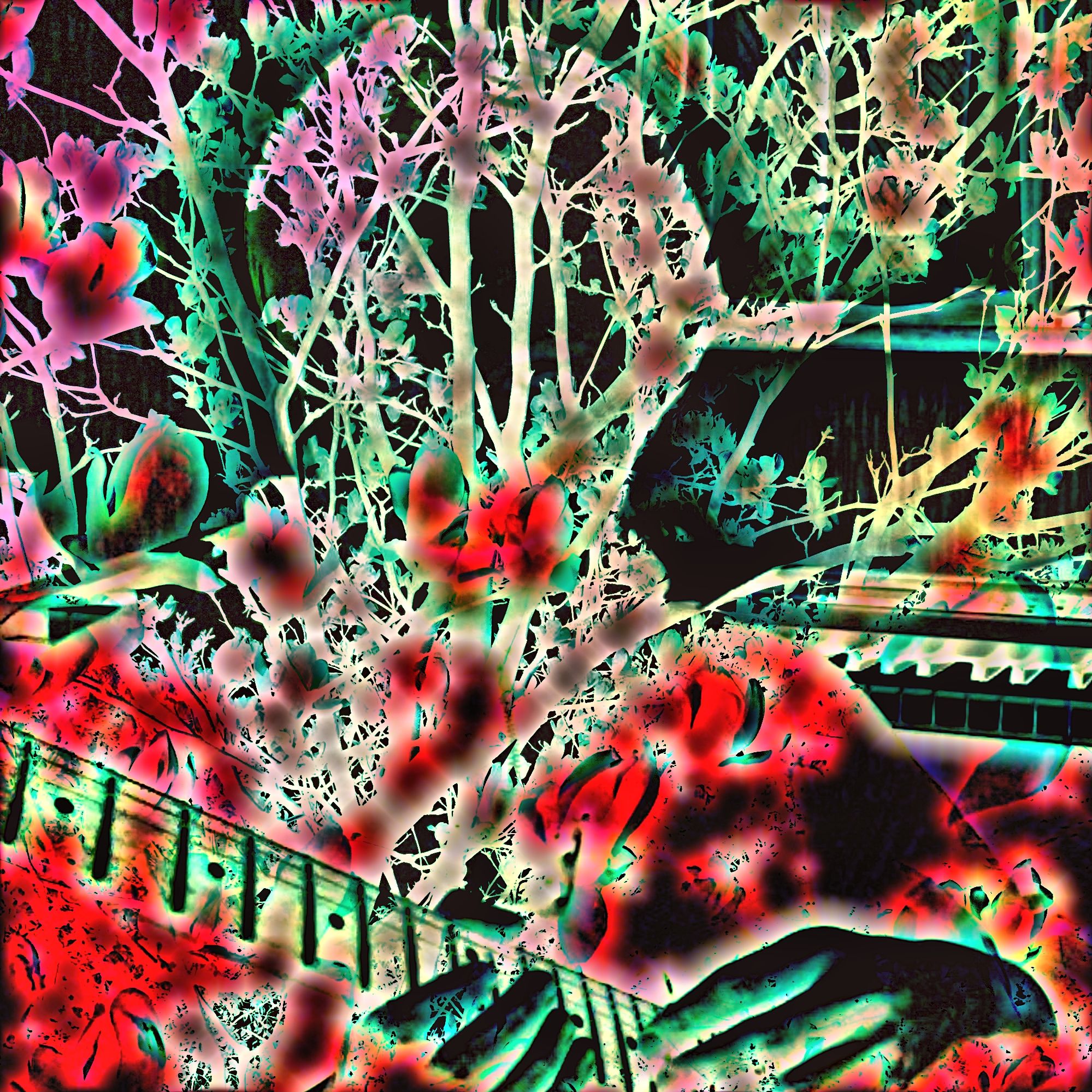 Blossom of lies(嘘の花)