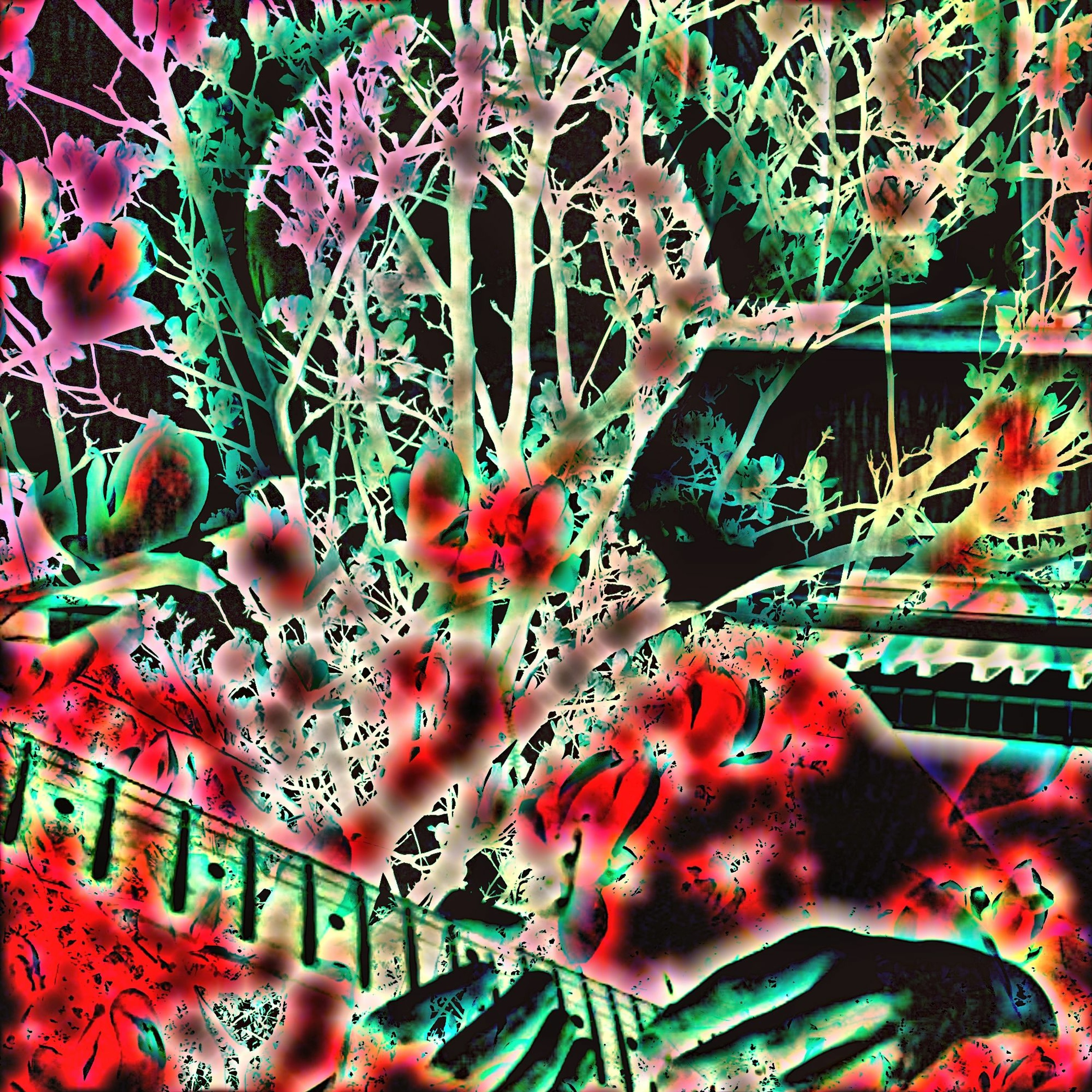 Blossom of lies(嘘の花)