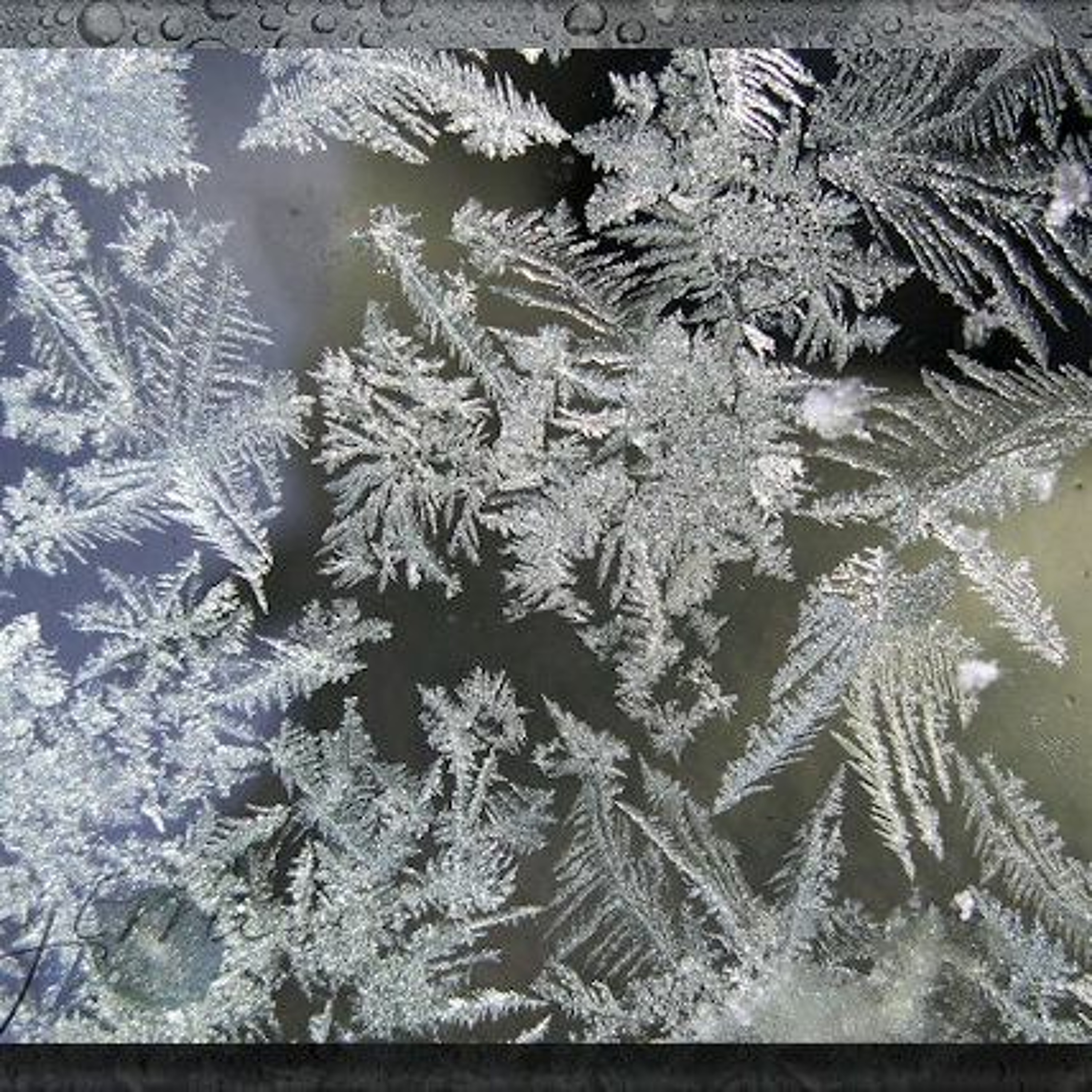 UITGELEZEN: ZKV (zeer korte verhalen)