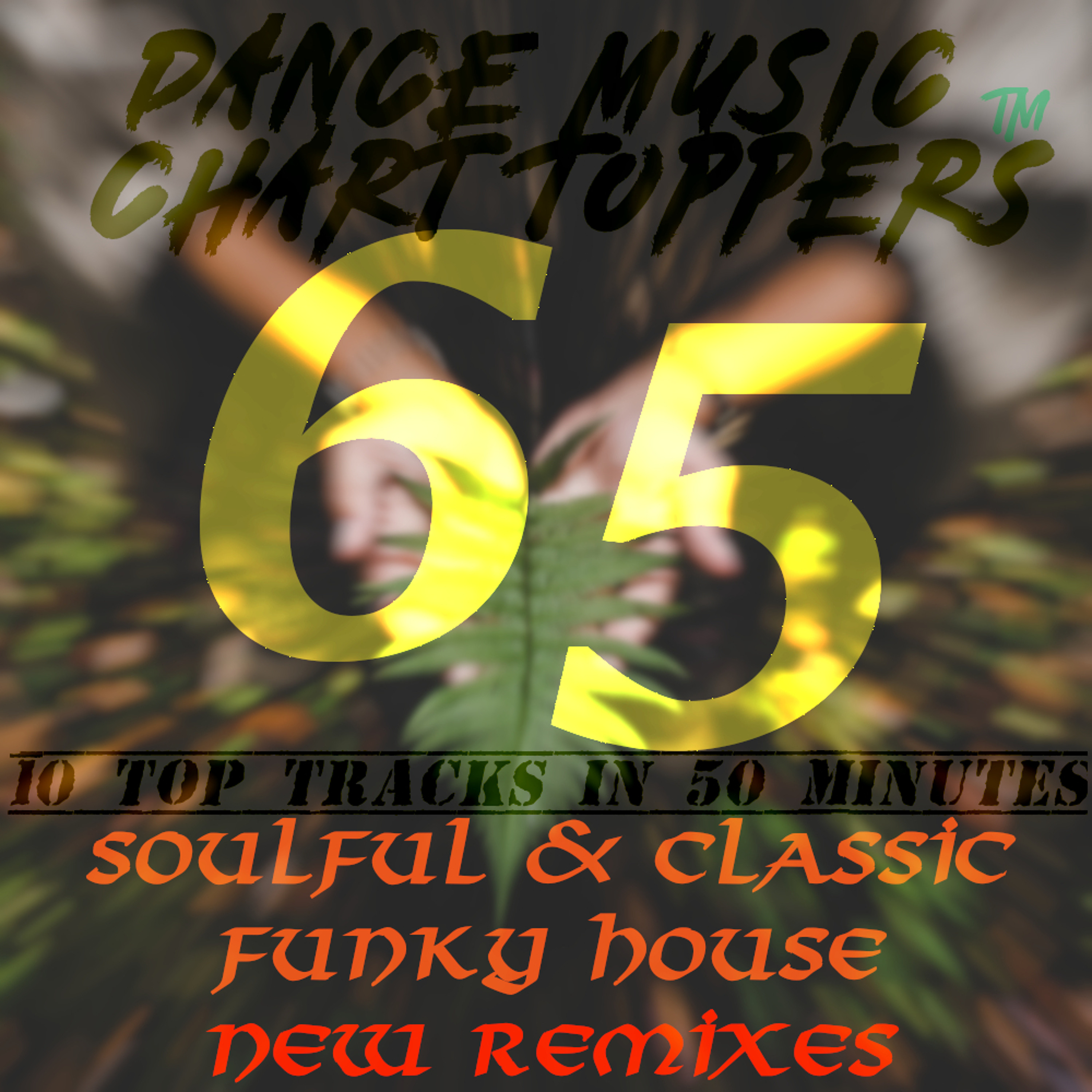 Dance Music Chart Toppers™ 10 Tracks in 50 Minutes