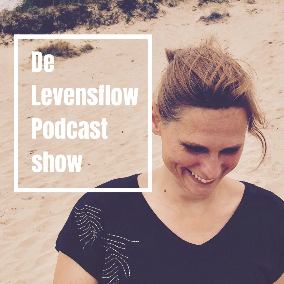 Episode 11 - Wat te doen als je niet lekker in je werk zit - De Levensflow Podcastshow