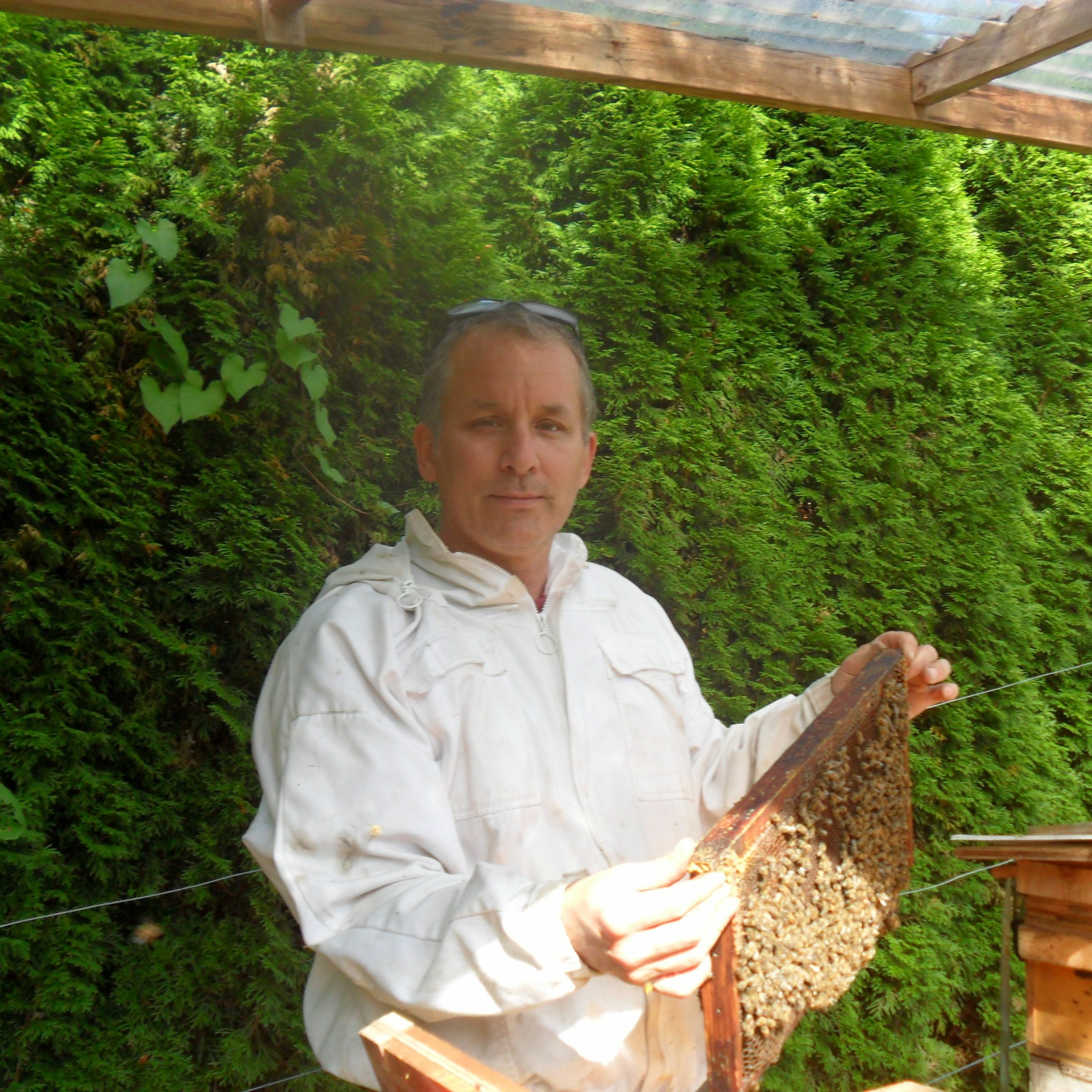 Ep12 - Bees and Biodynamics