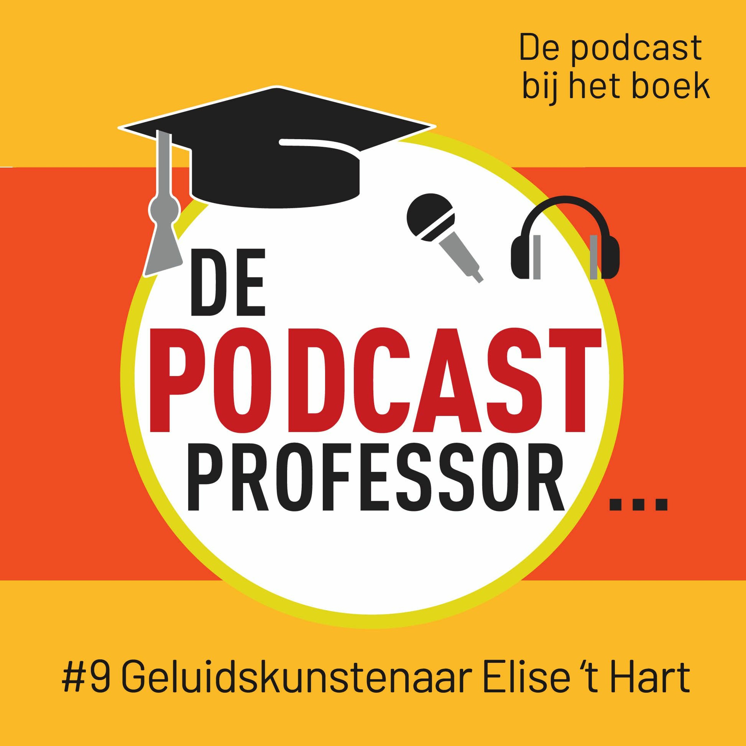 #9 Geluidskunstenaar Elise 't Hart