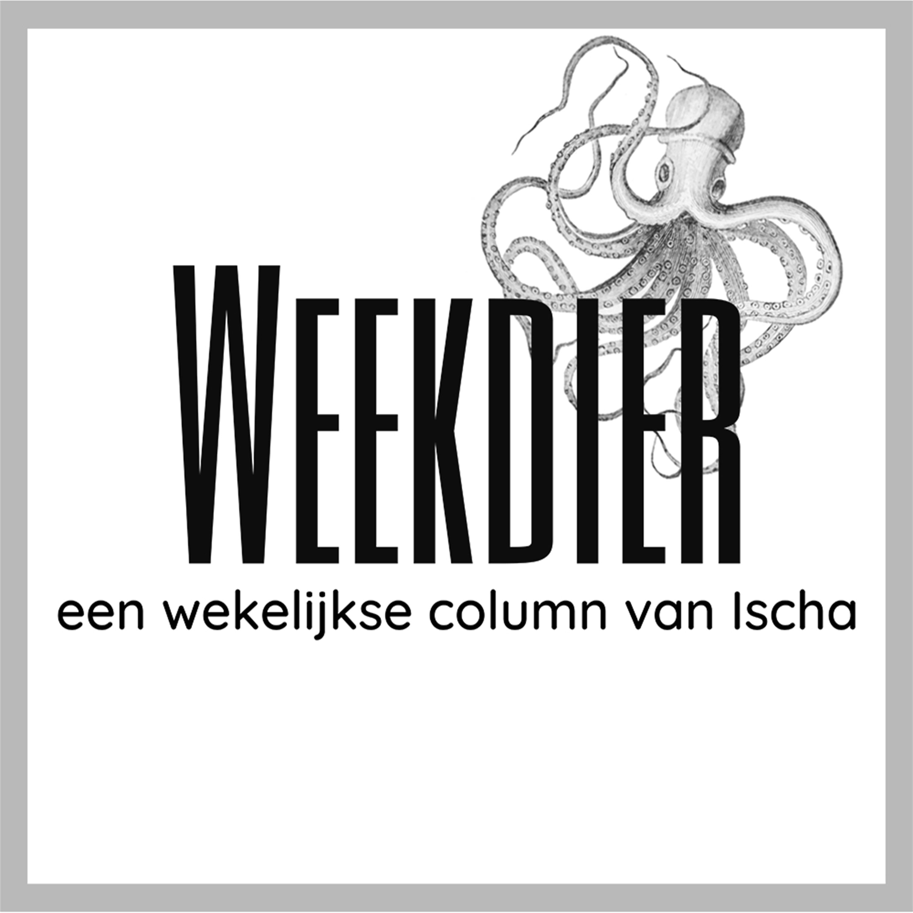 #0 De millennial van de 19e eeuw