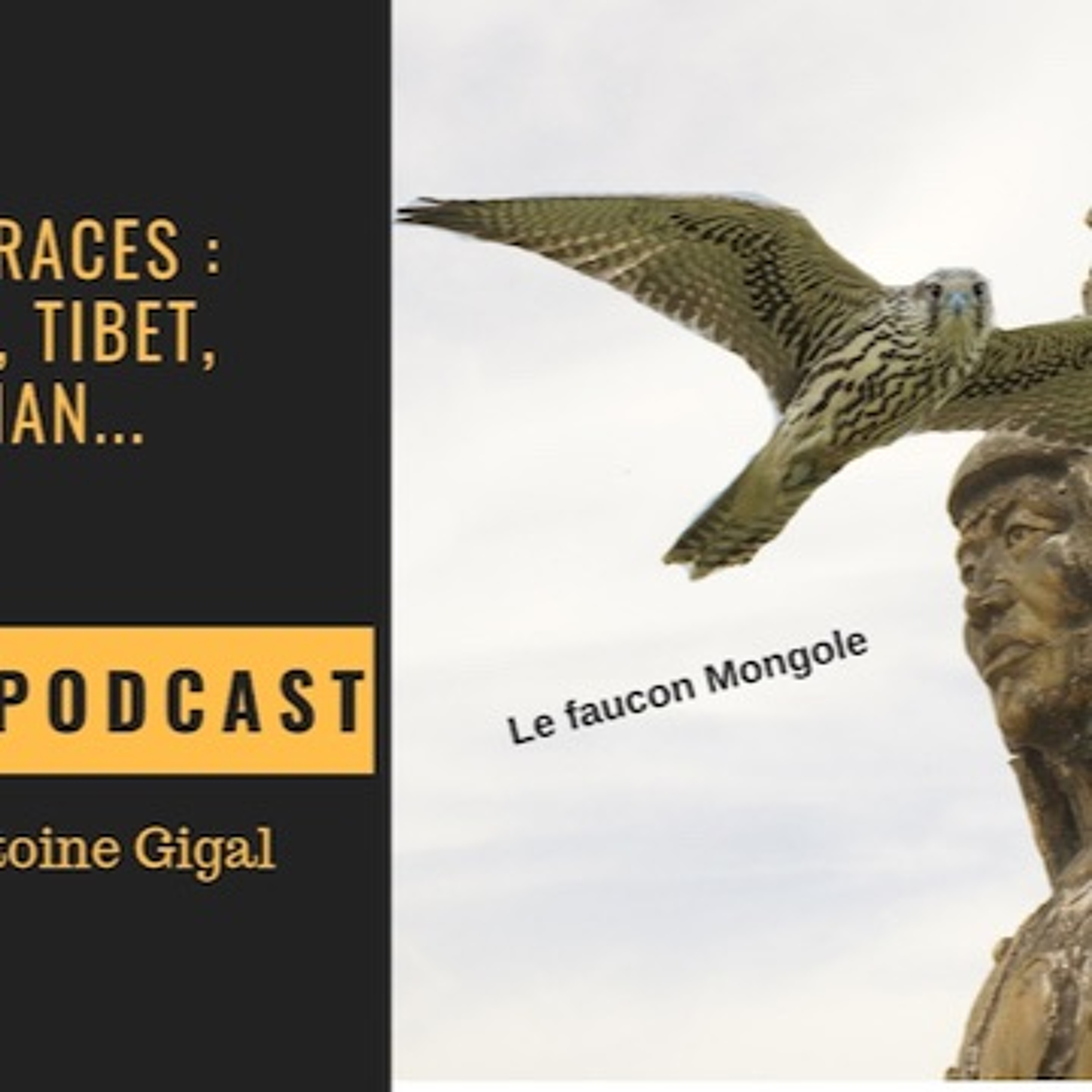 Sur les Traces : Mongolie,Tibet,GengisKhan...