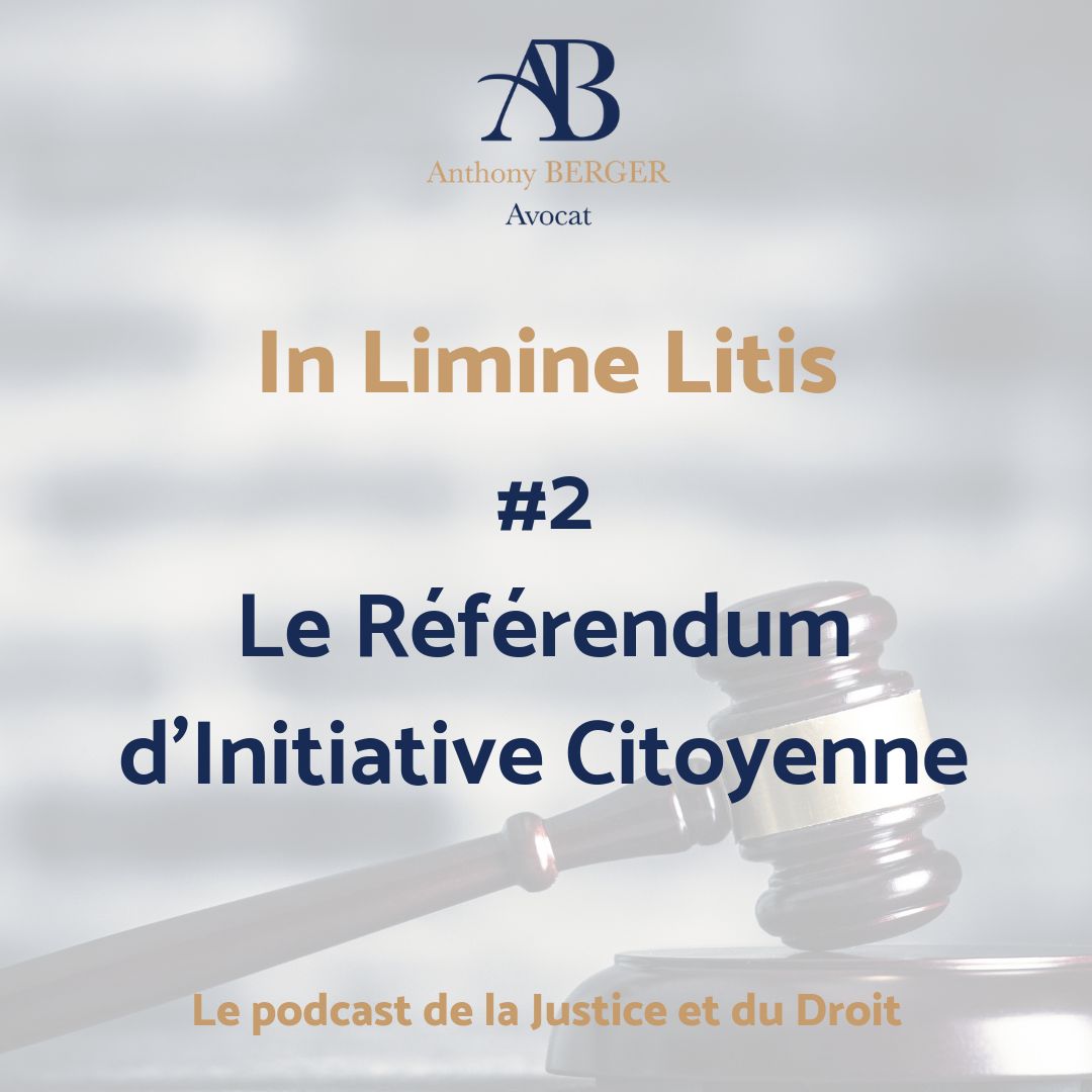 #2 Le Référendum D'Initiative Citoyenne