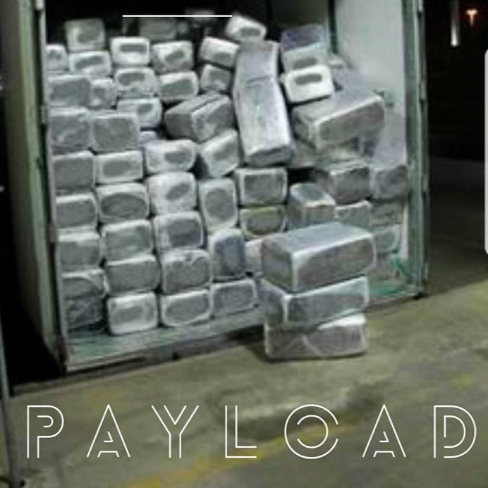 Payload