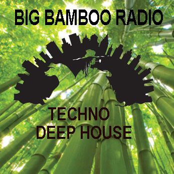 Hillbilly House Tribute To Charlie Lownoise And Mental Theo Big Bamboo Radio