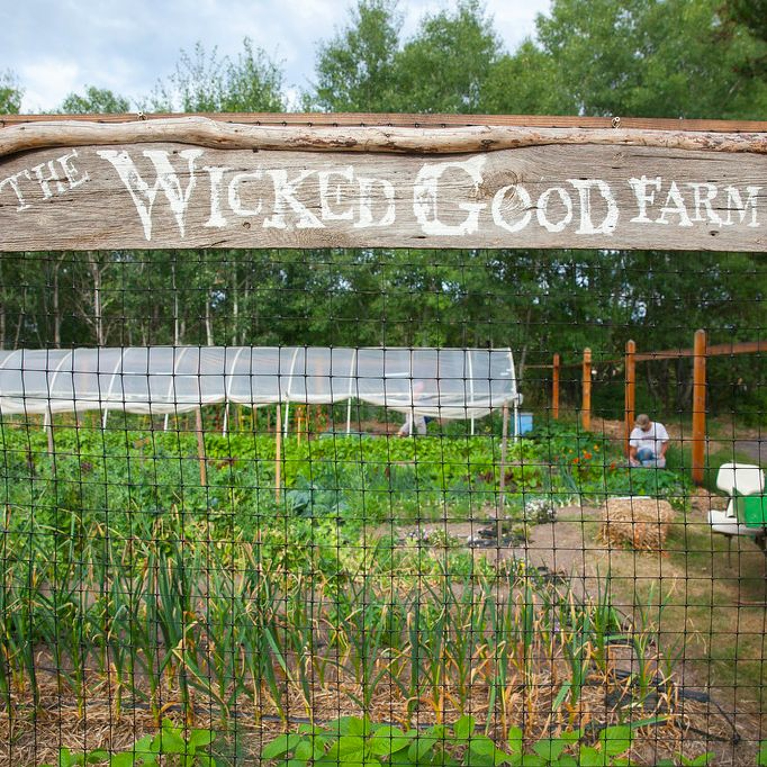 Cornucopia: The Cult, Culture & Business of Food