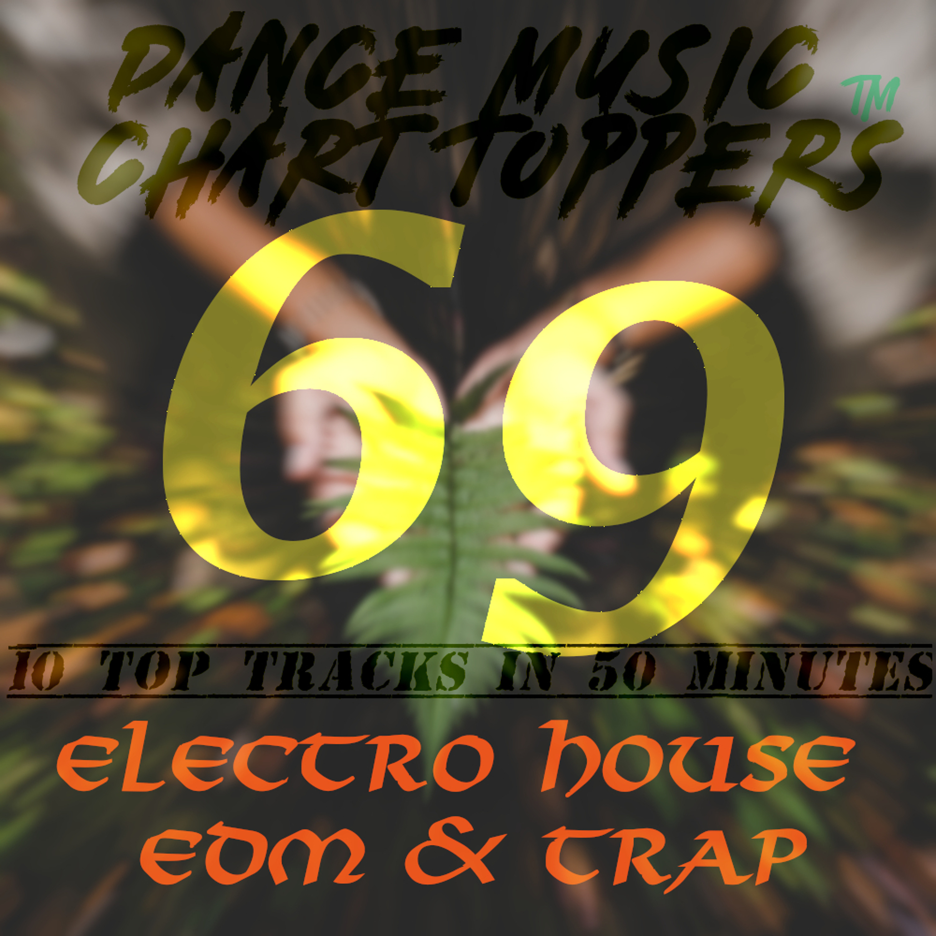 Dance Music Chart Toppers™ 10 Tracks in 50 Minutes