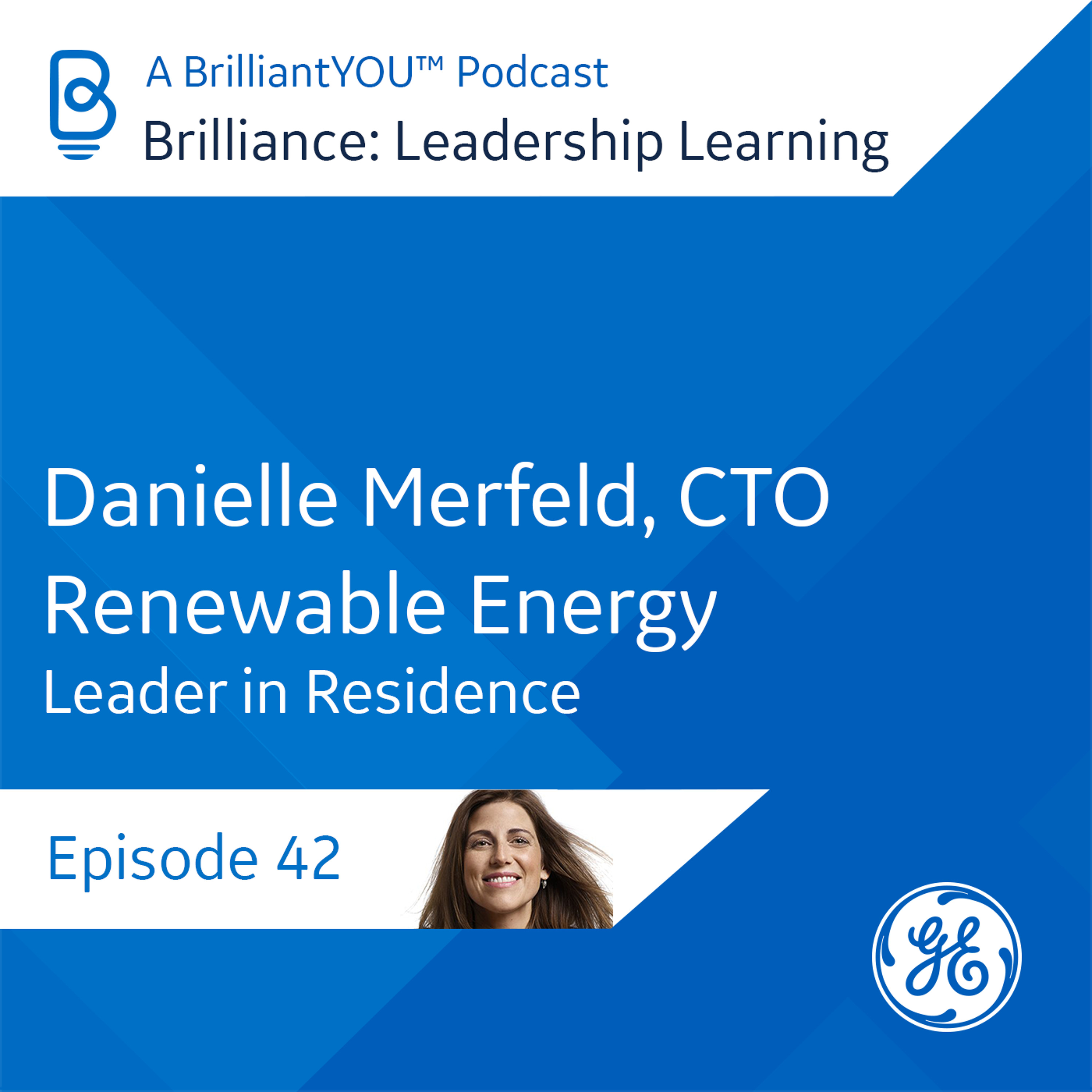 Brilliance: Leadership Learning
