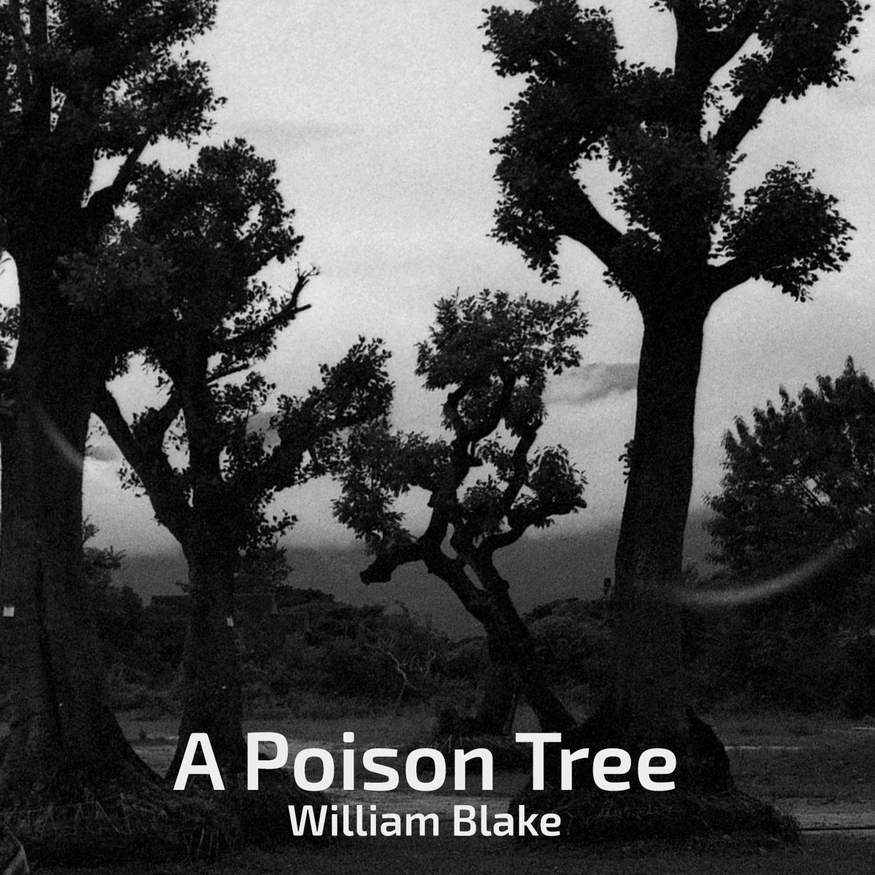 Episode 3. A Poison Tree: William Blake