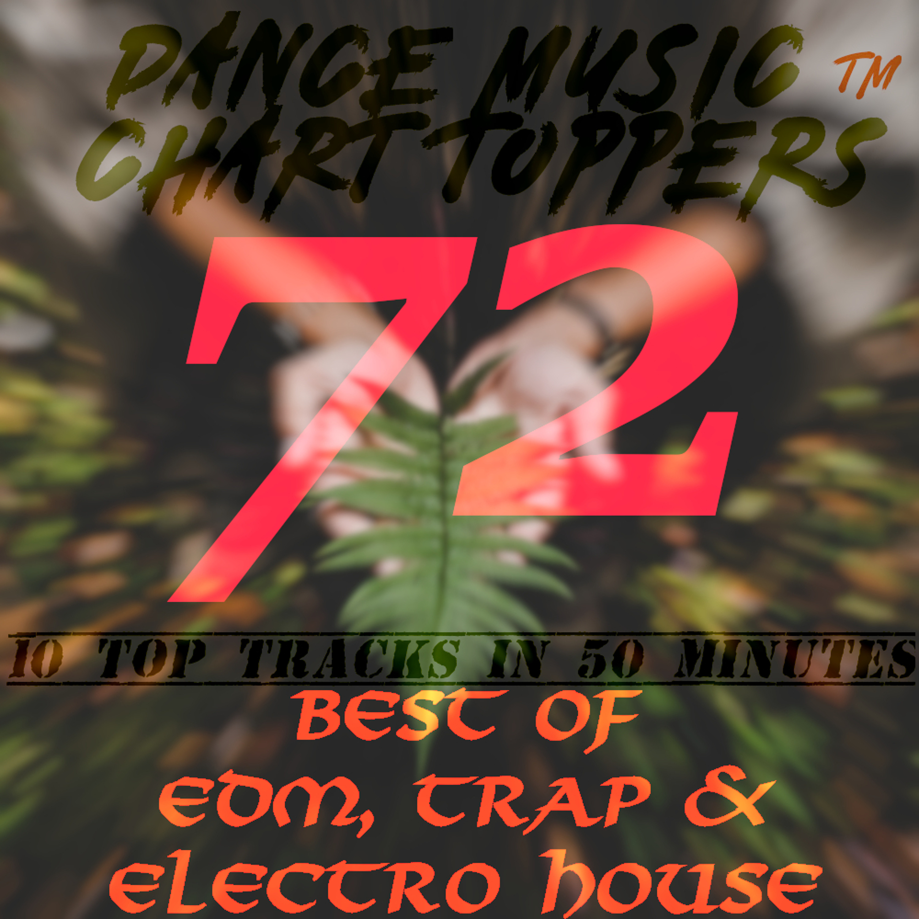 Dance Music Chart Toppers™ 10 Tracks in 50 Minutes