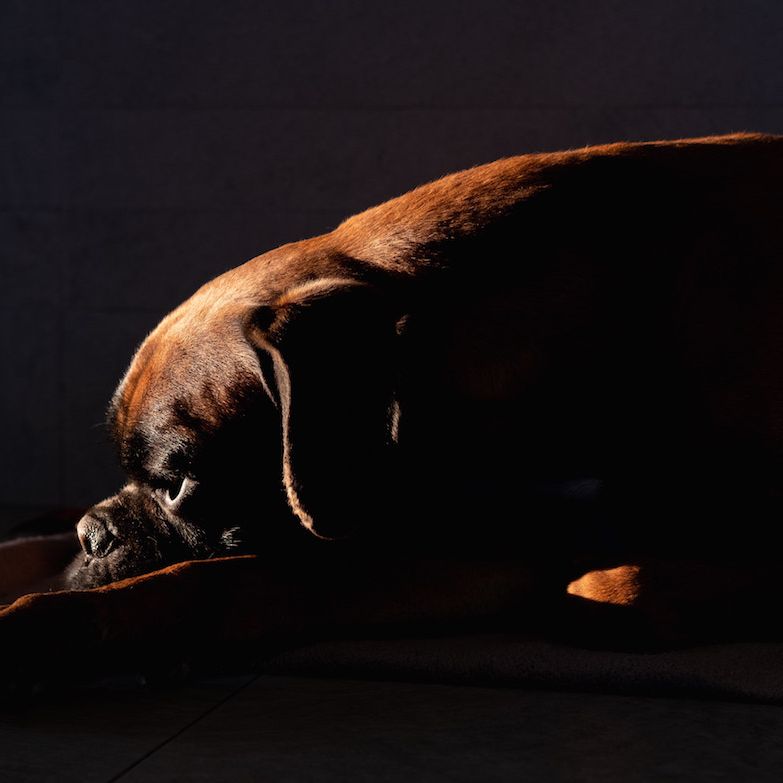 What To Do When You Are In The Dark