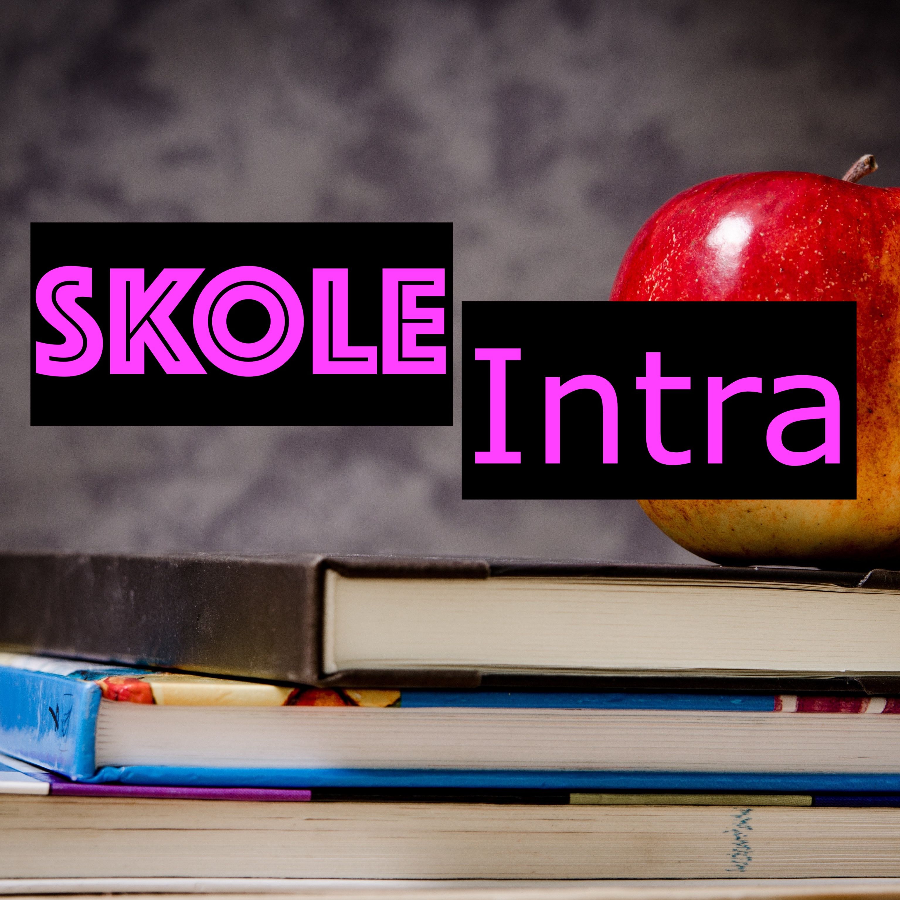 Skoleintra - 20:02:2019