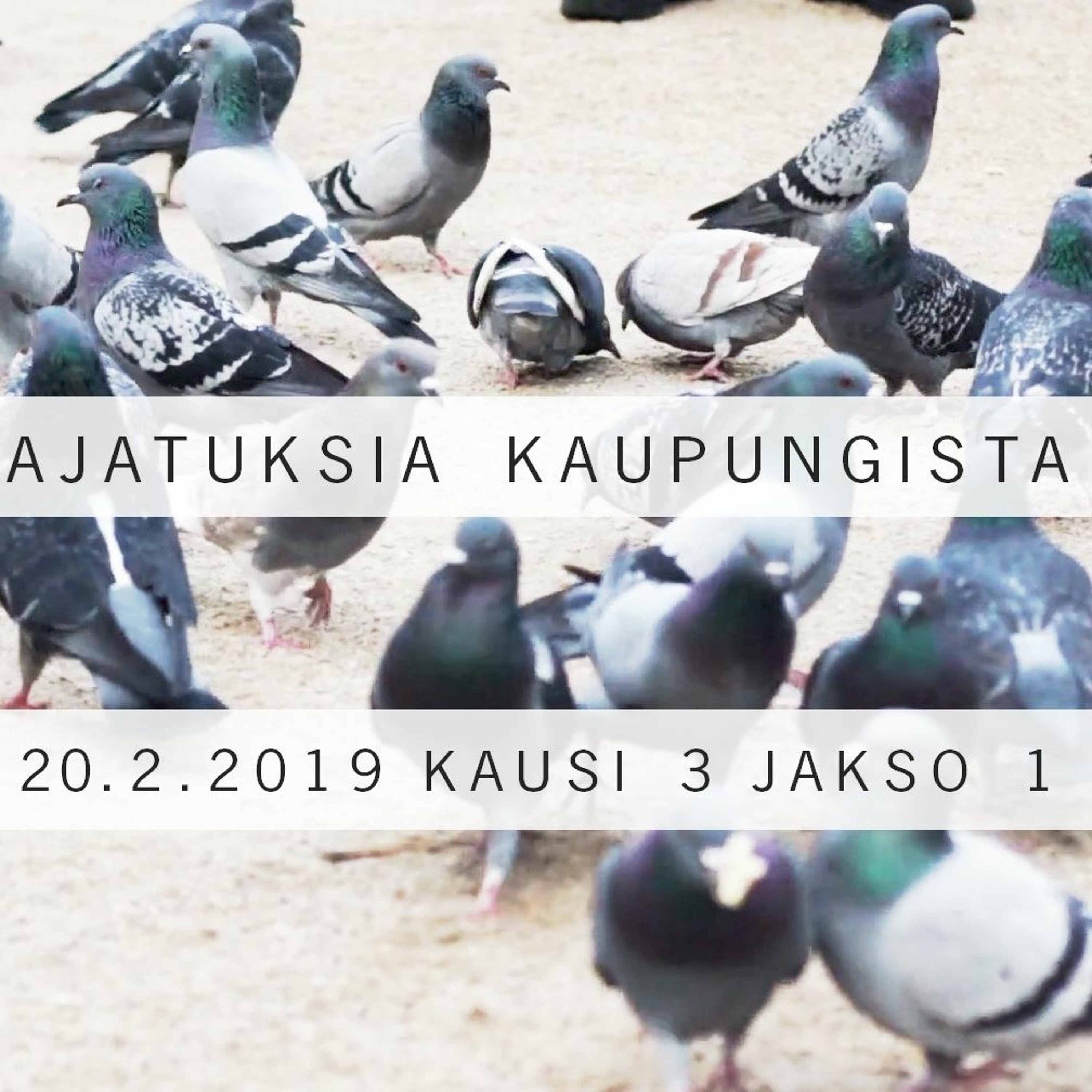 Ajatuksia kaupungista