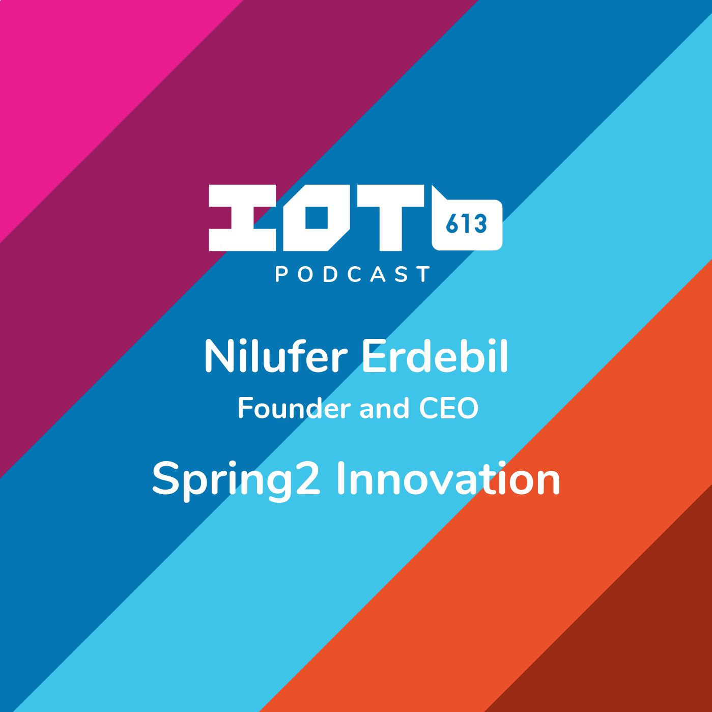Design Thinking - Nilufer Erdebil, Spring2Innovation