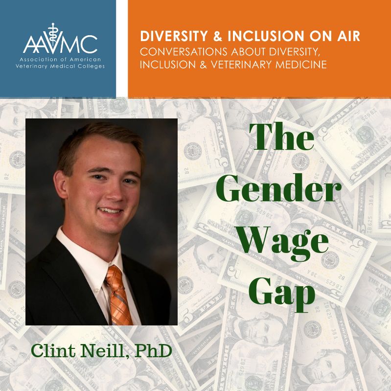 47: The Gender Wage Gap