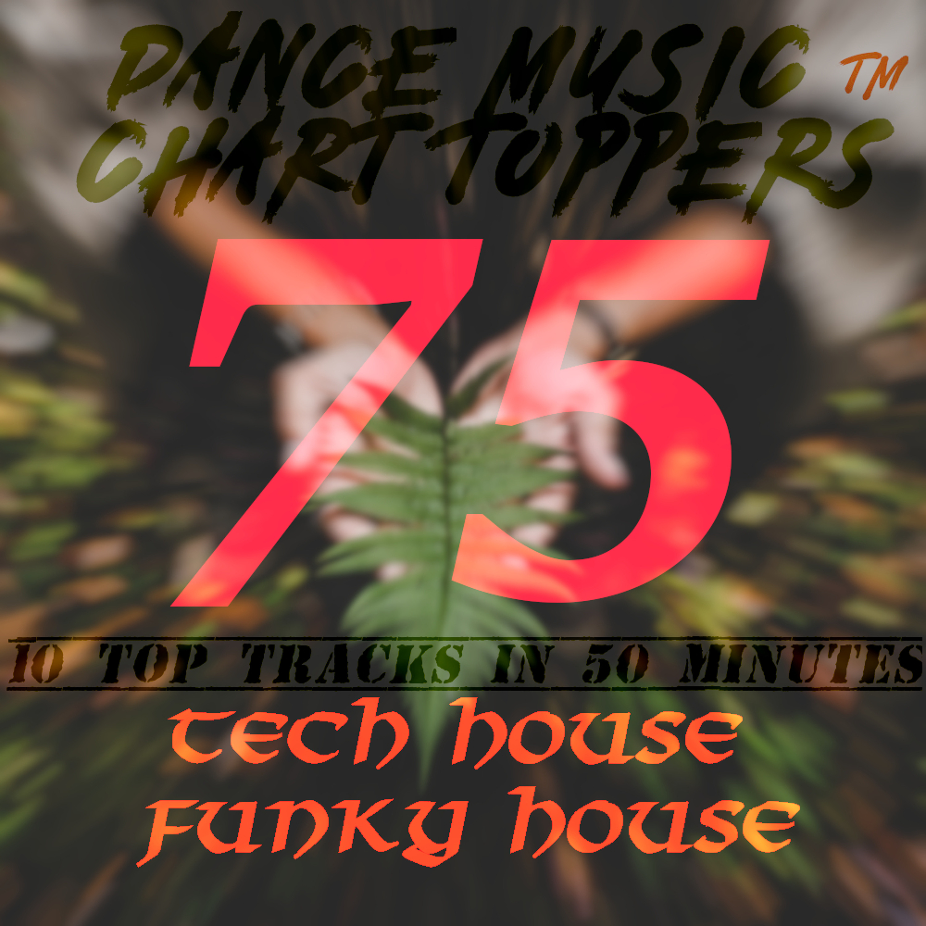 Dance Music Chart Toppers™ 10 Tracks in 50 Minutes