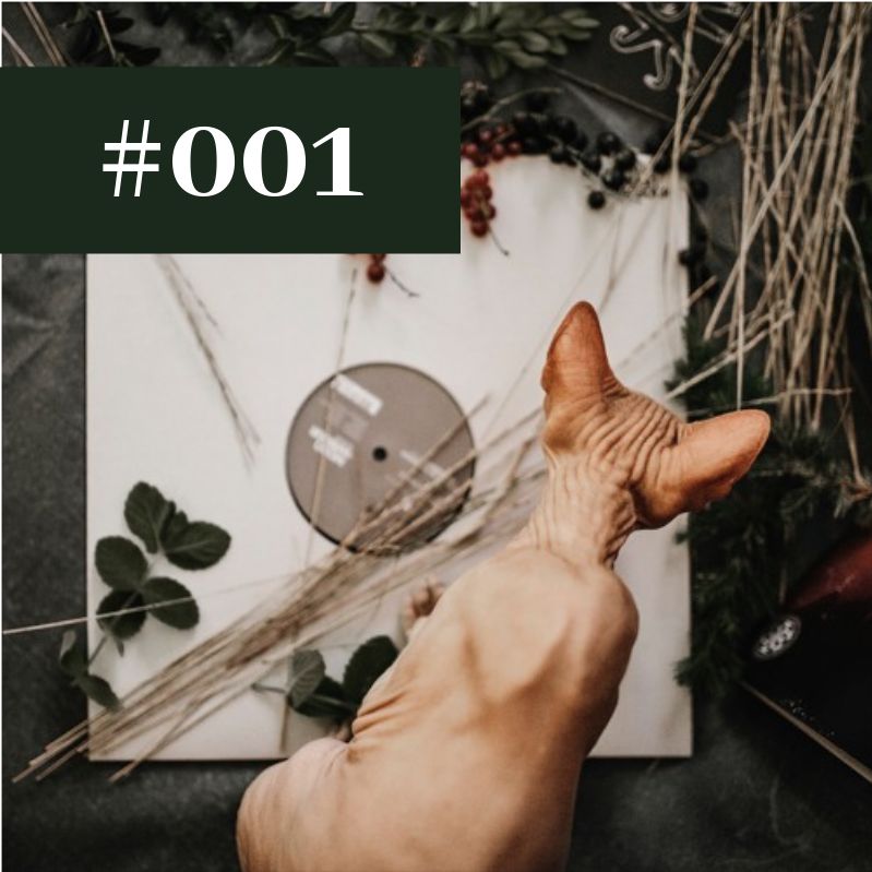 Vinyl Sunday - FEB #001 (Techno)