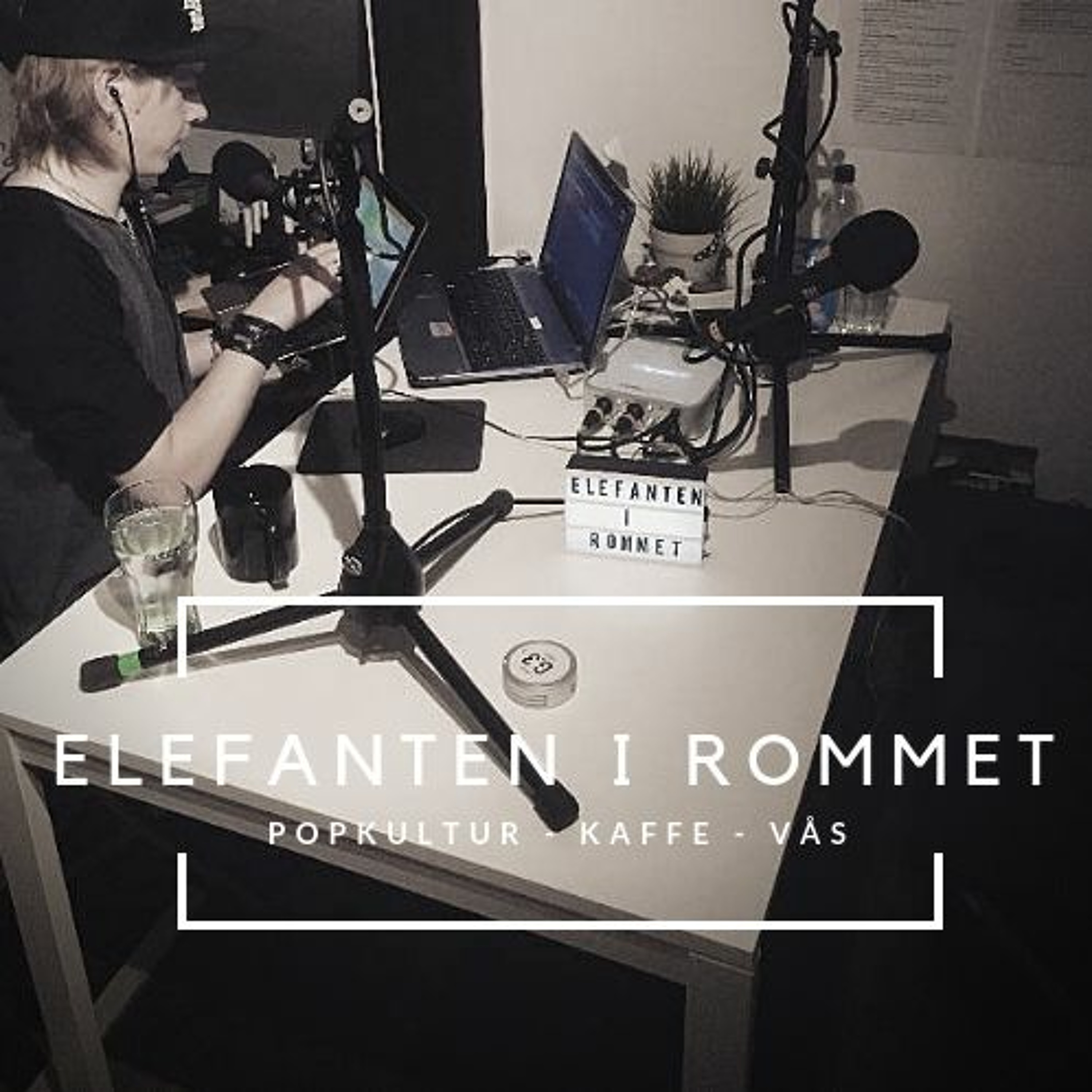 Elefanten i rommet