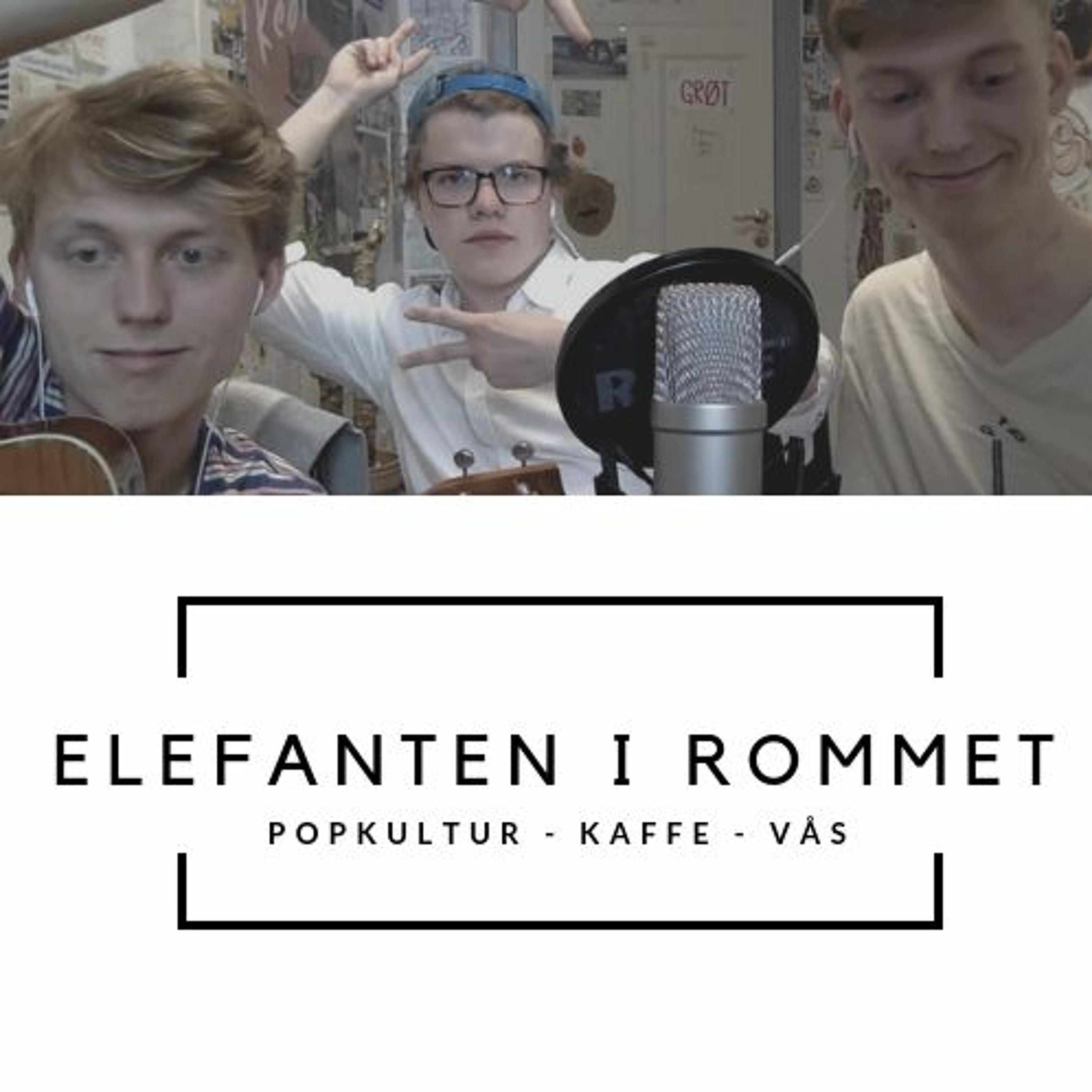 Elefanten i rommet