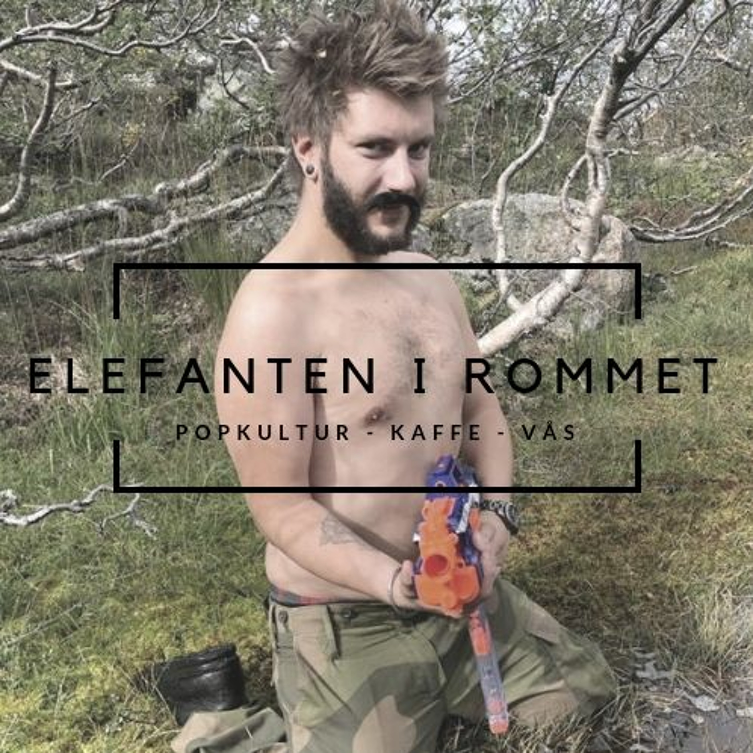 Elefanten i rommet