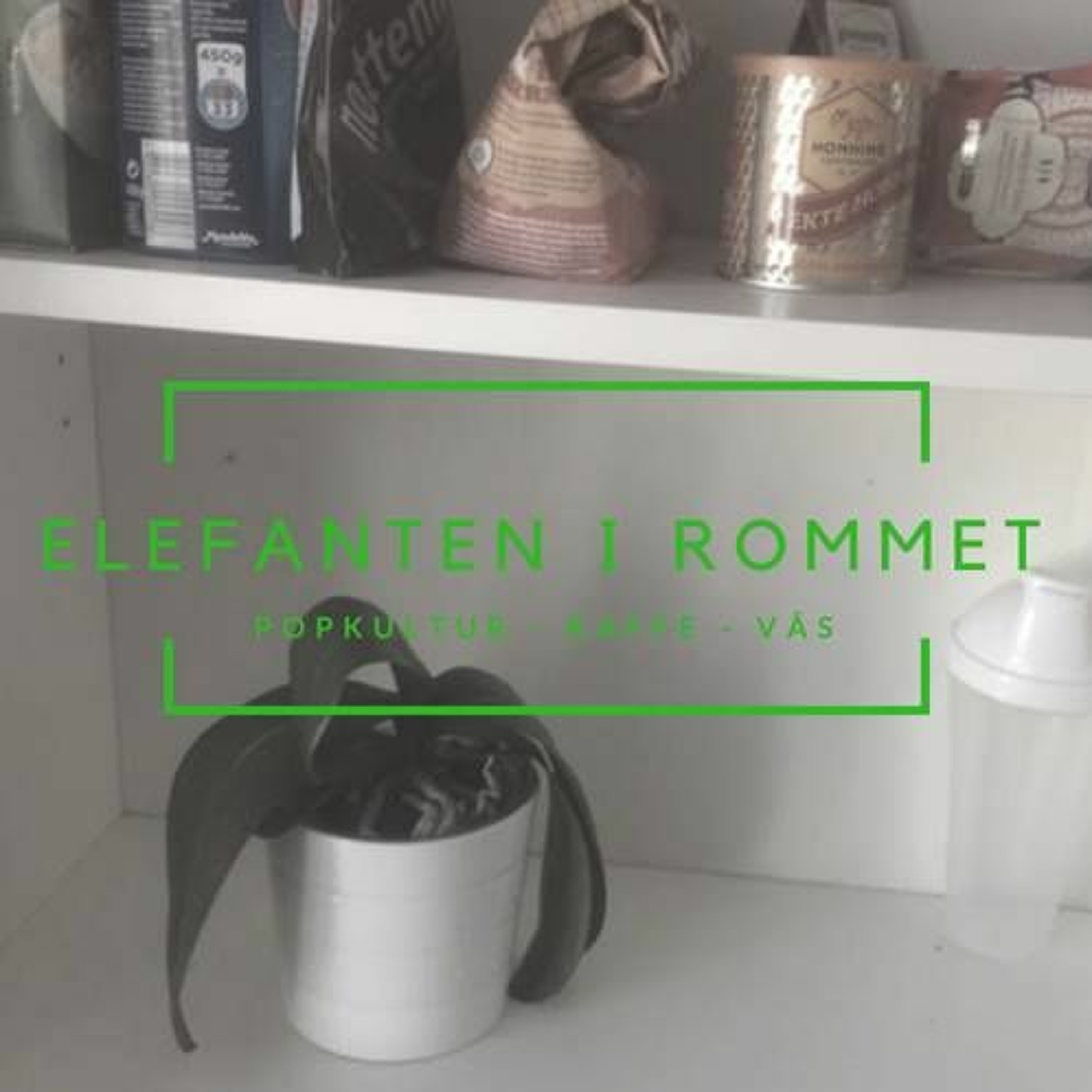 Elefanten i rommet