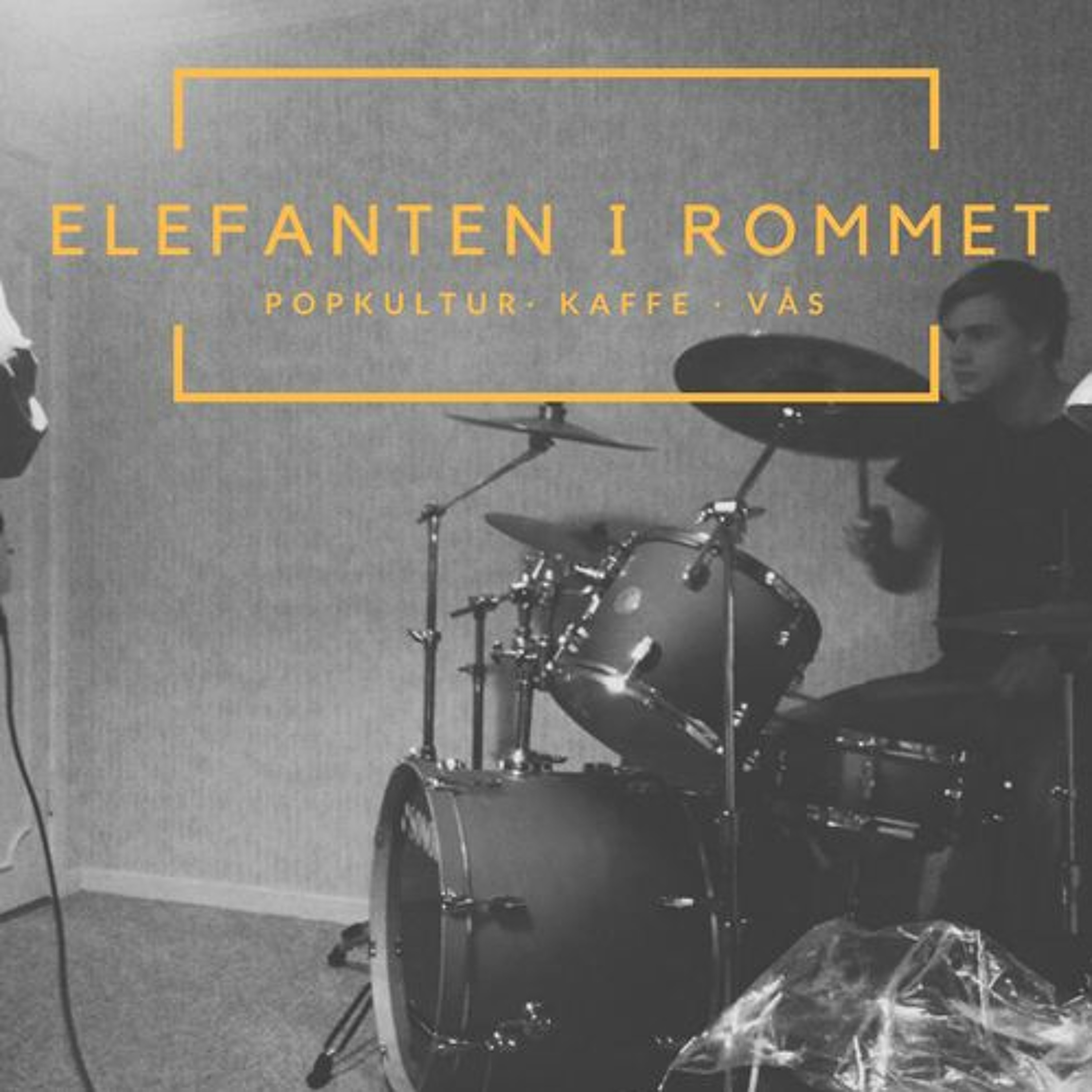 Elefanten i rommet