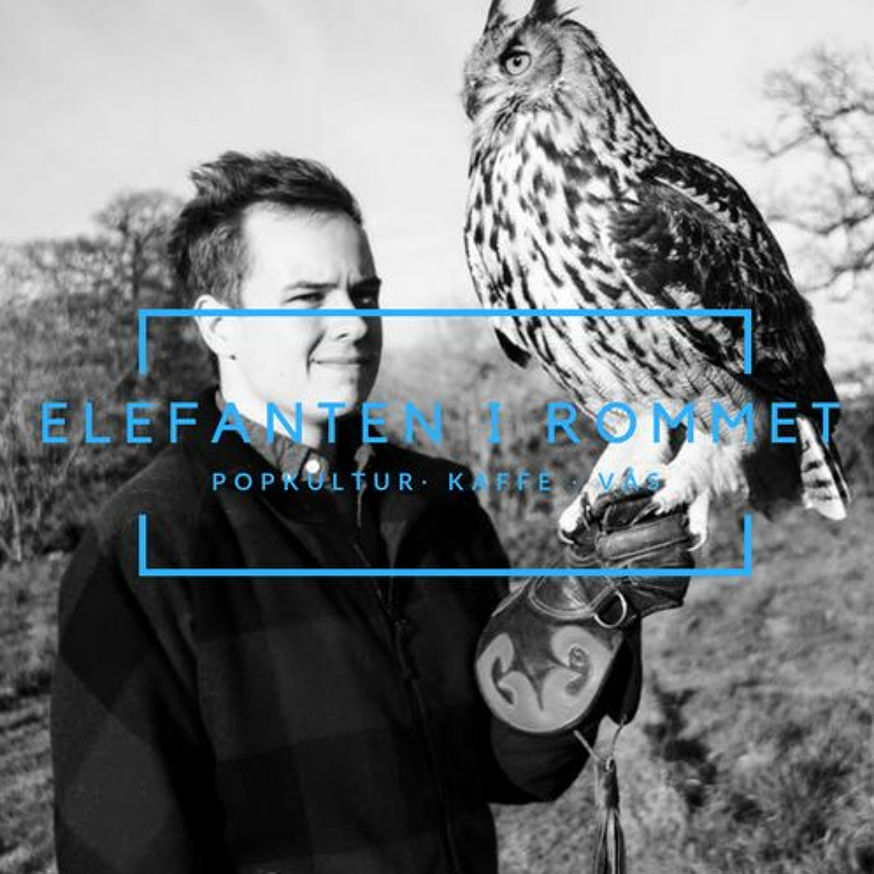 Elefanten i rommet